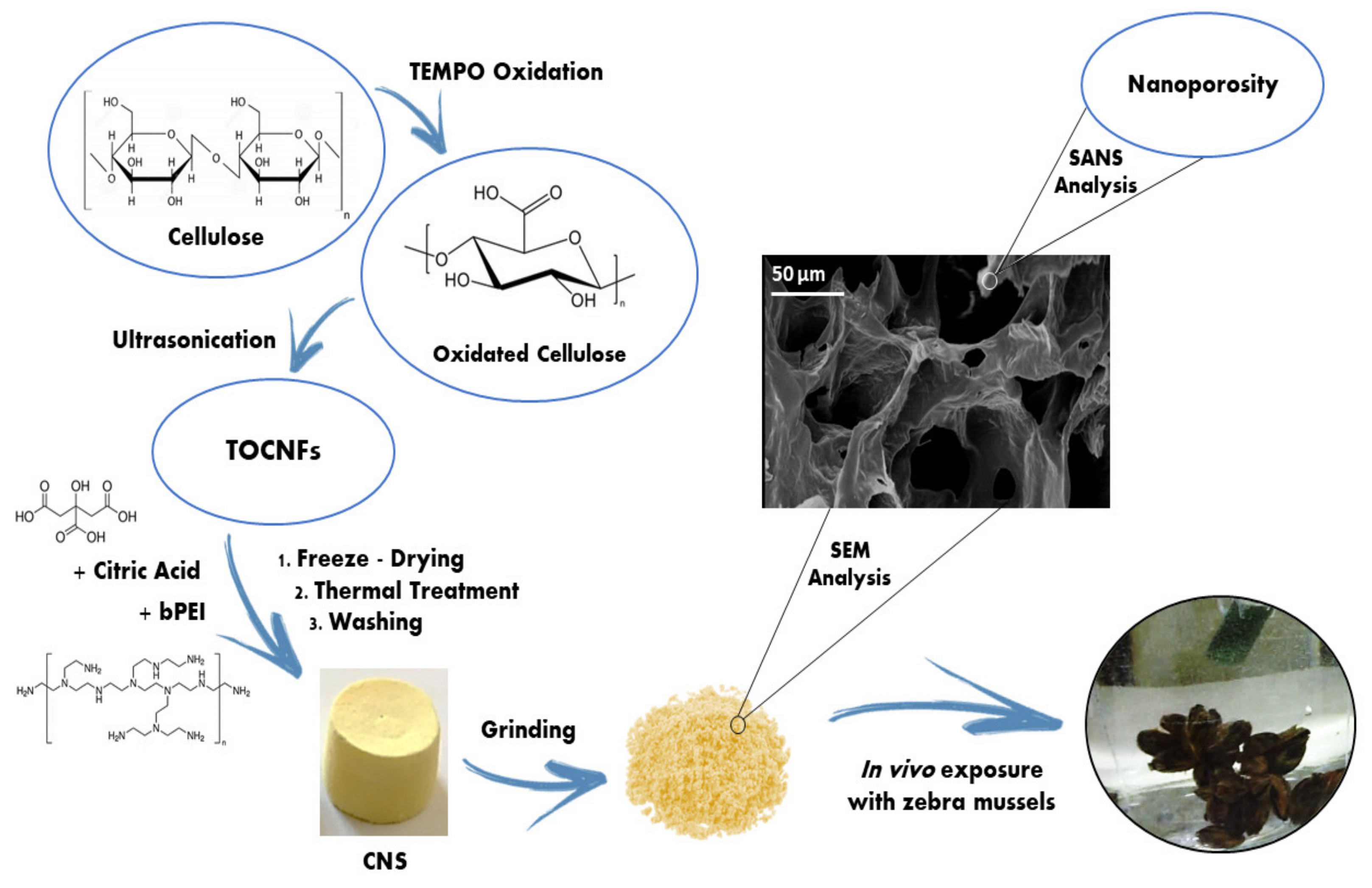 Nanomaterials 10 01837 g001 Nanomaterials 10 01837 g001