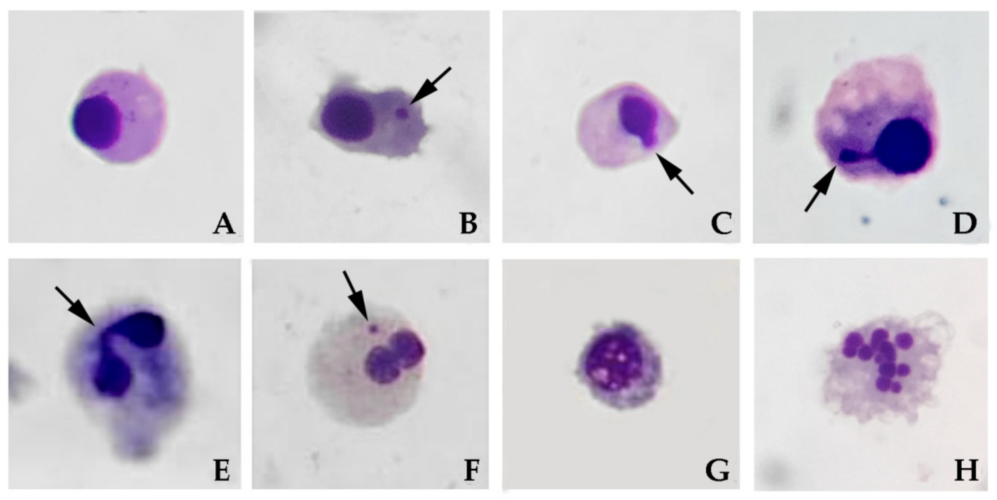 Nanomaterials 10 01837 g002 Nanomaterials 10 01837 g002