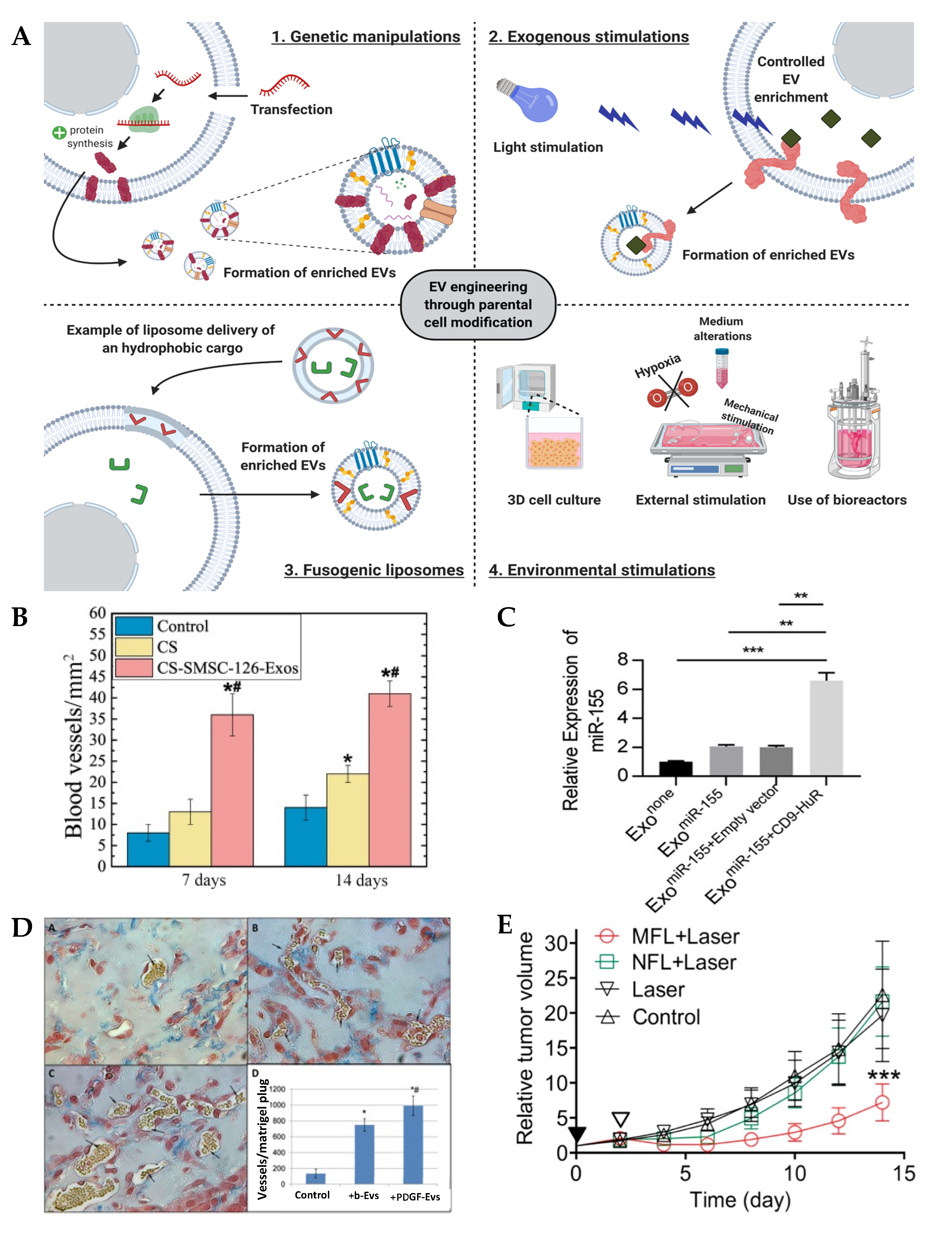Nanomaterials 10 01838 g002 Nanomaterials 10 01838 g002