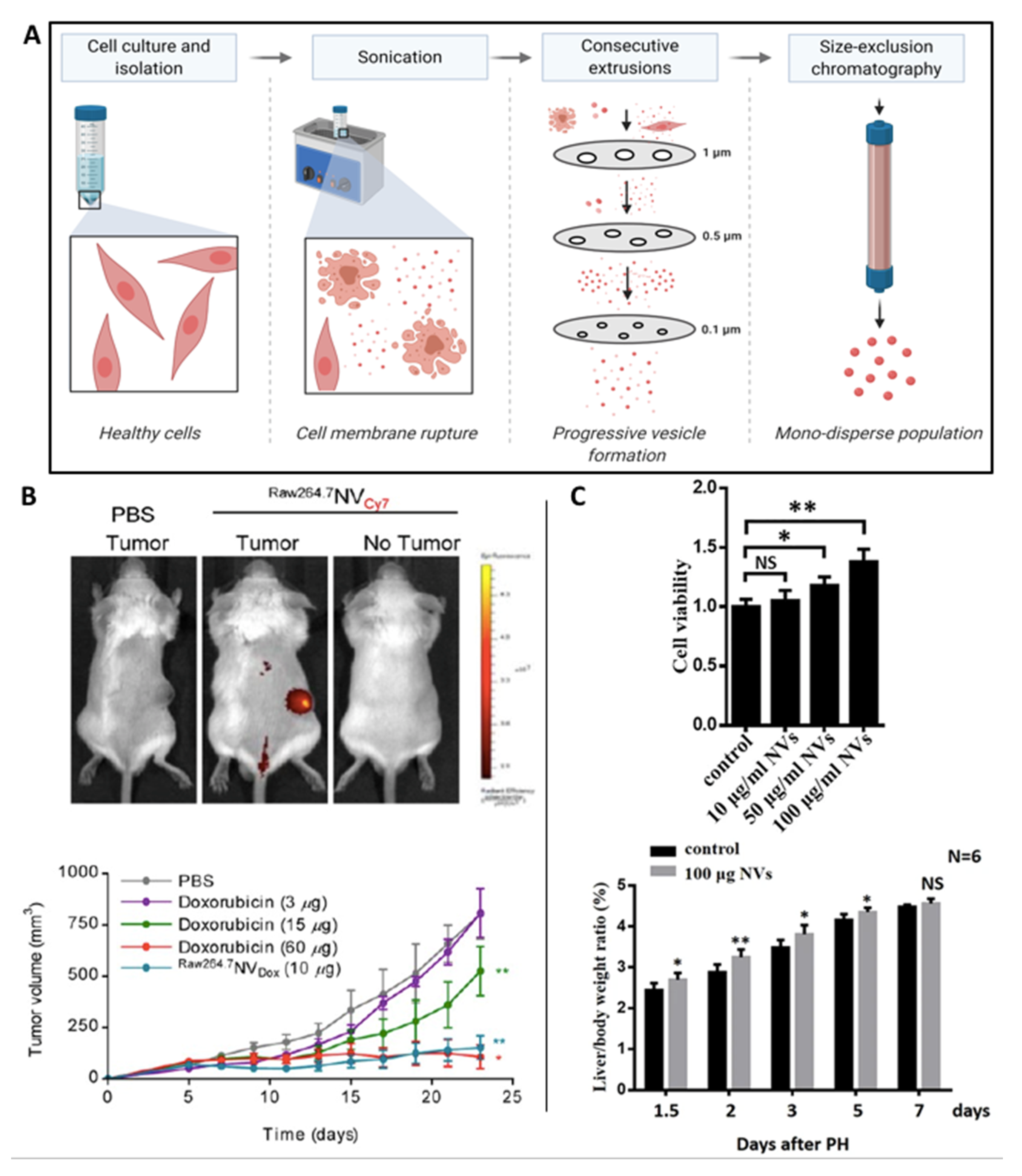 Nanomaterials 10 01838 g004 Nanomaterials 10 01838 g004