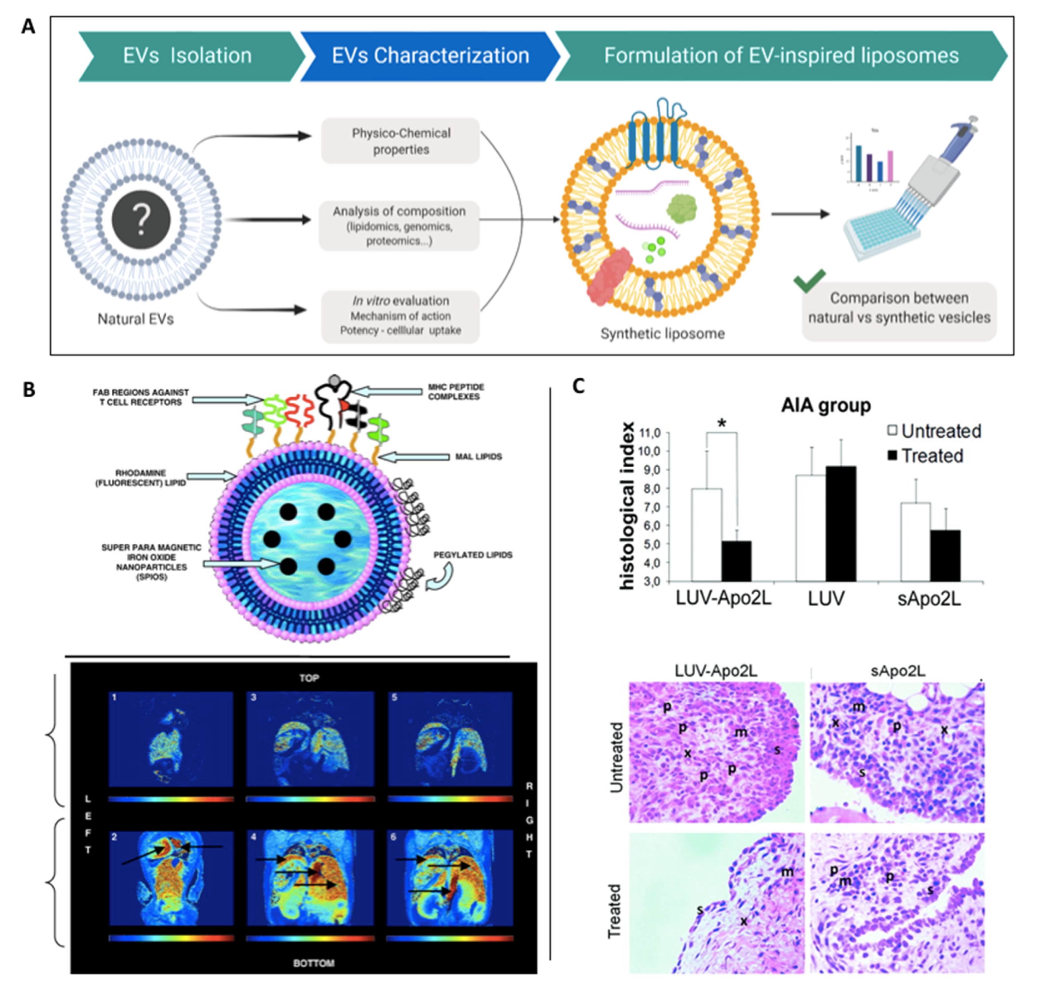 Nanomaterials 10 01838 g005 Nanomaterials 10 01838 g005