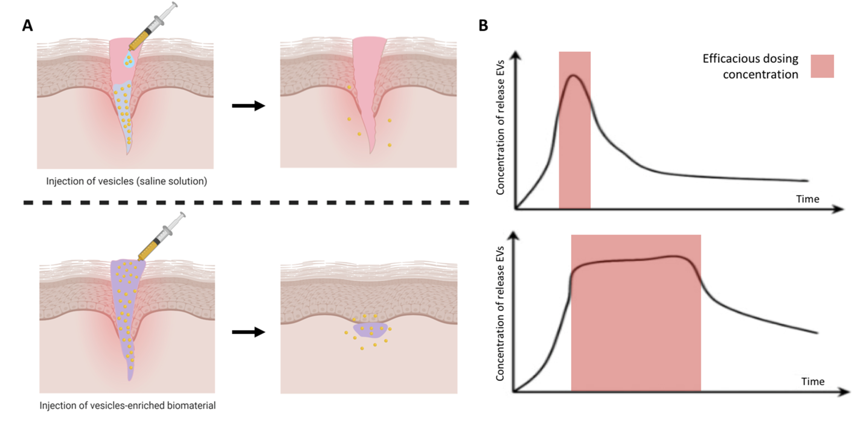 Nanomaterials 10 01838 g006 Nanomaterials 10 01838 g006