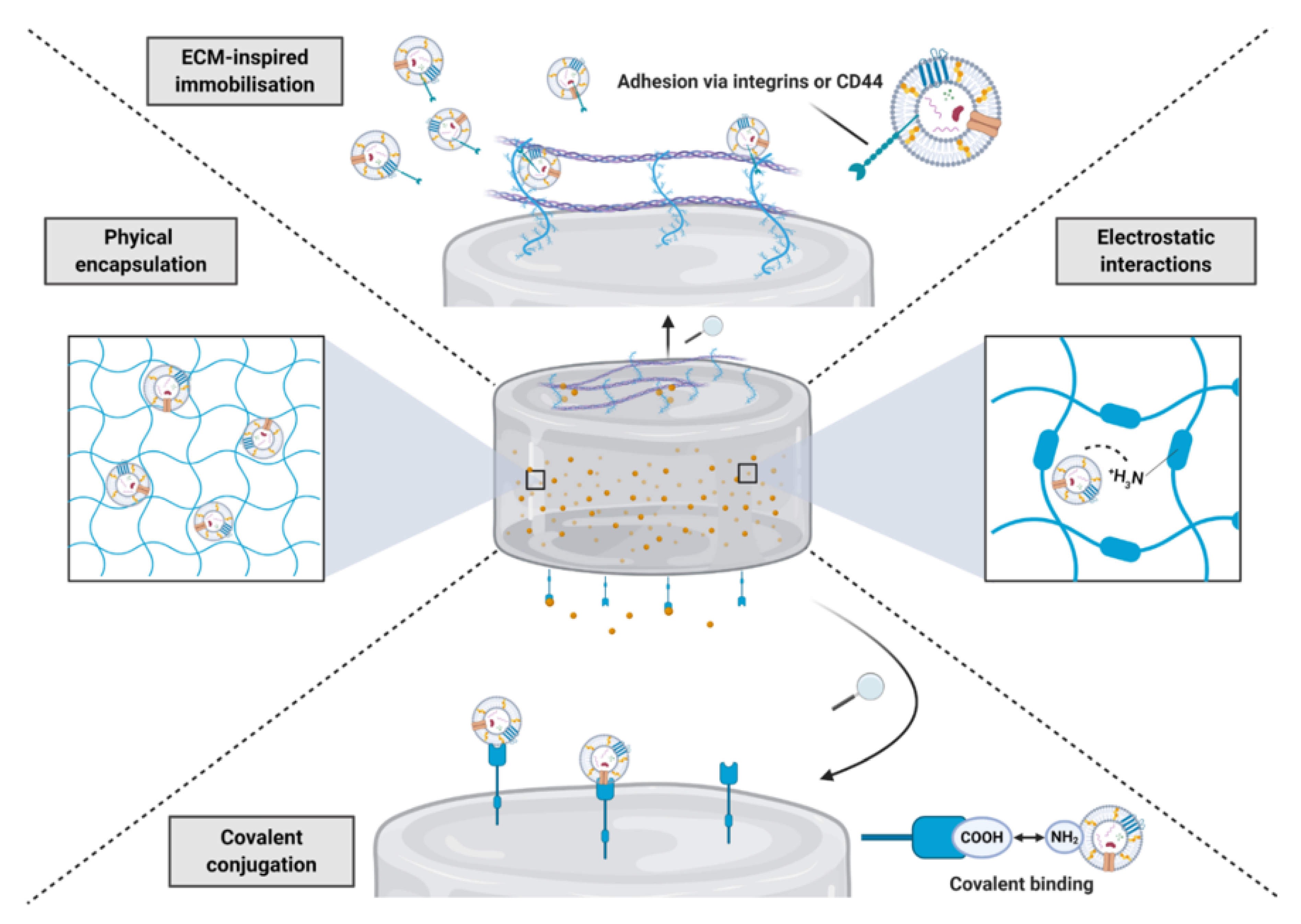 Nanomaterials 10 01838 g007 Nanomaterials 10 01838 g007