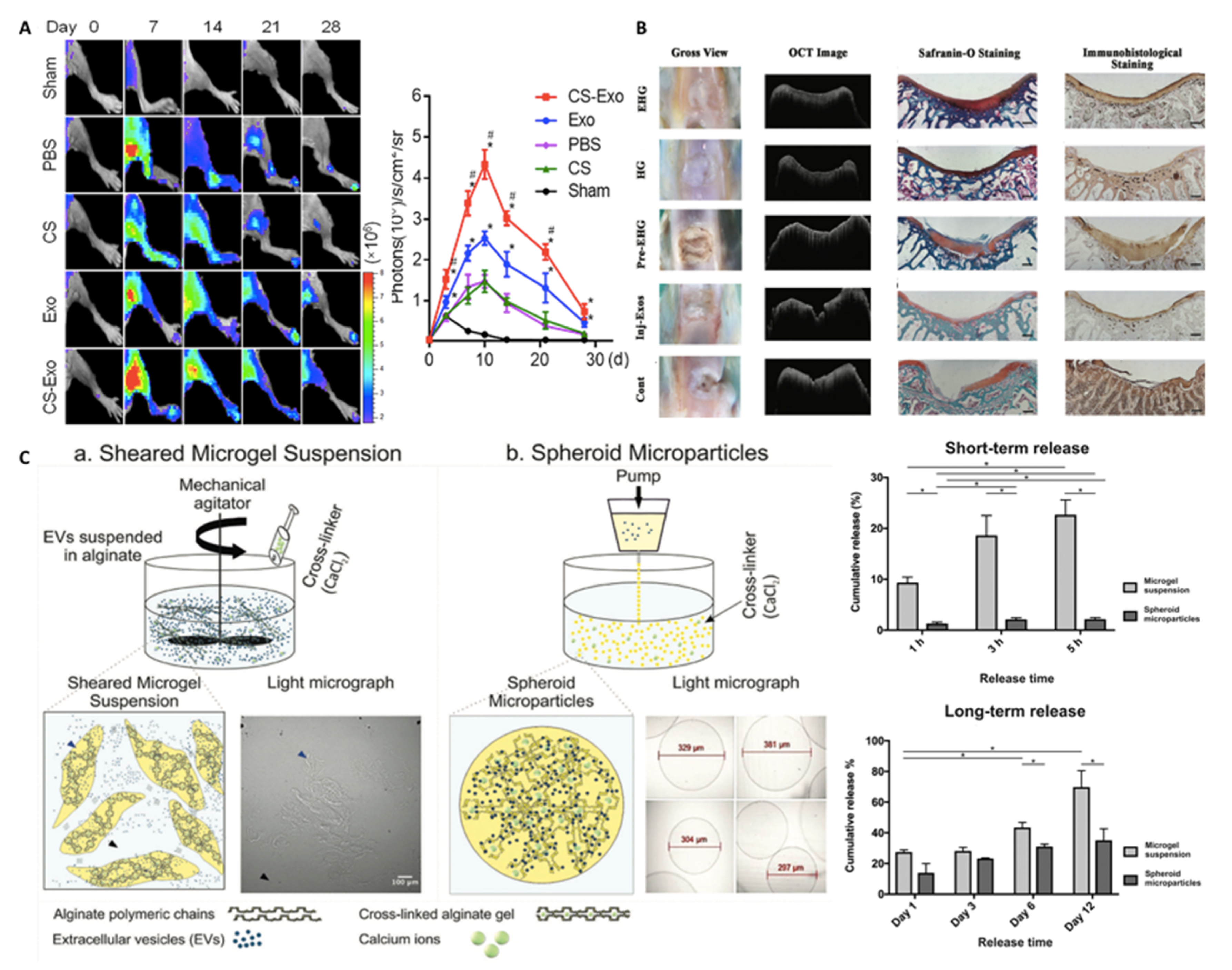 Nanomaterials 10 01838 g008 Nanomaterials 10 01838 g008