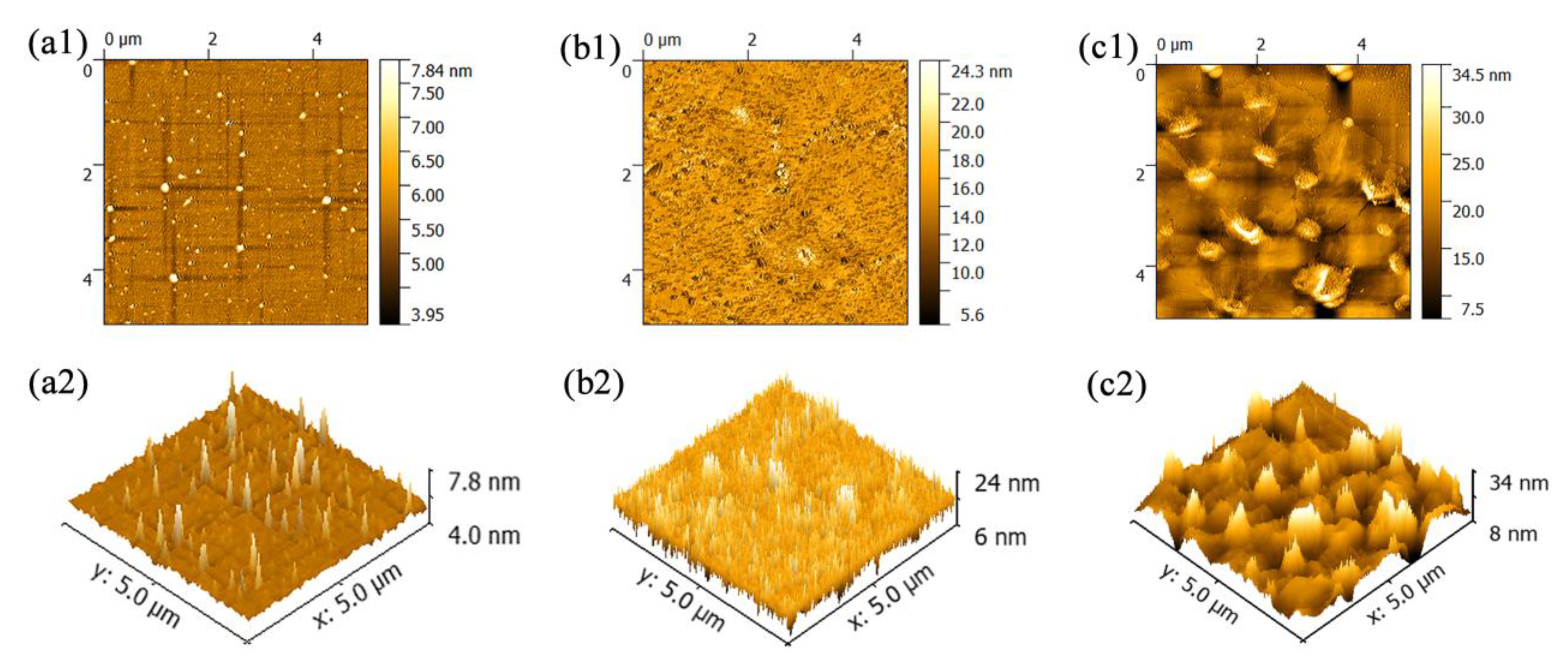 Nanomaterials 10 01839 g003