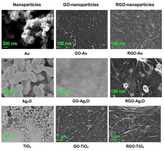 Nanomaterials 10 01846 g010 550