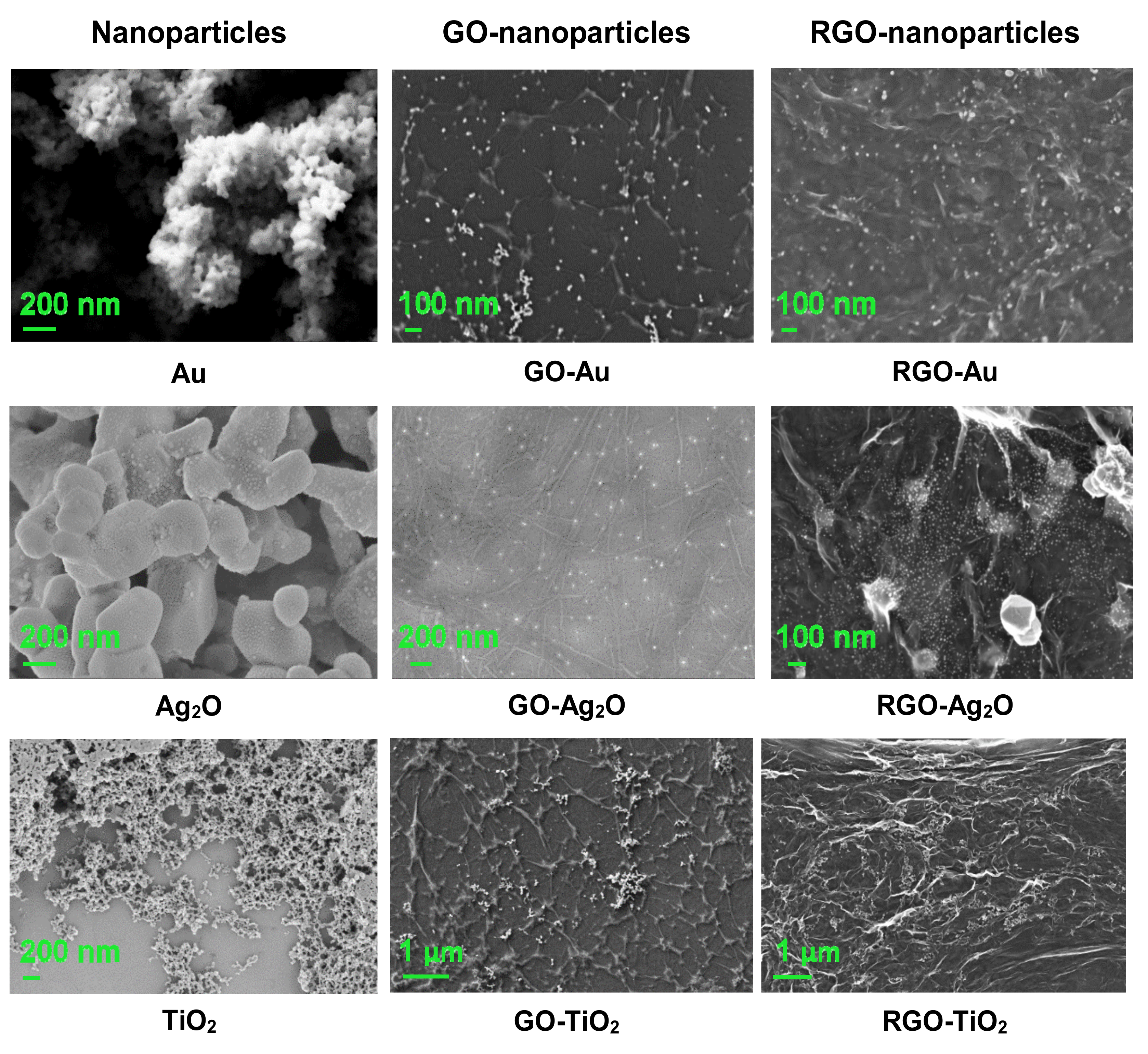 Nanomaterials 10 01846 g010