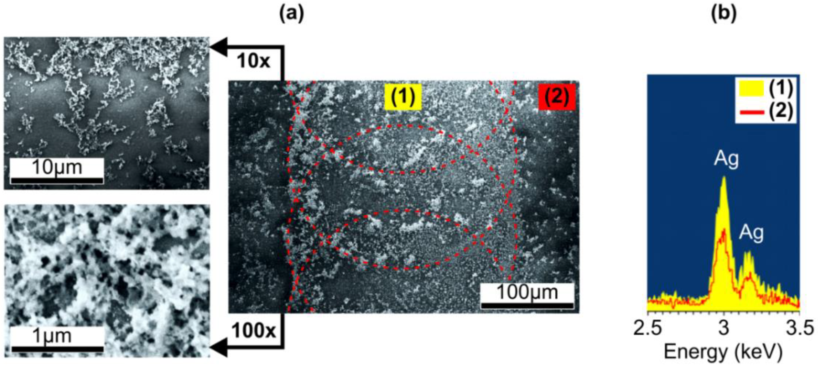 Nanomaterials 10 01849 g002