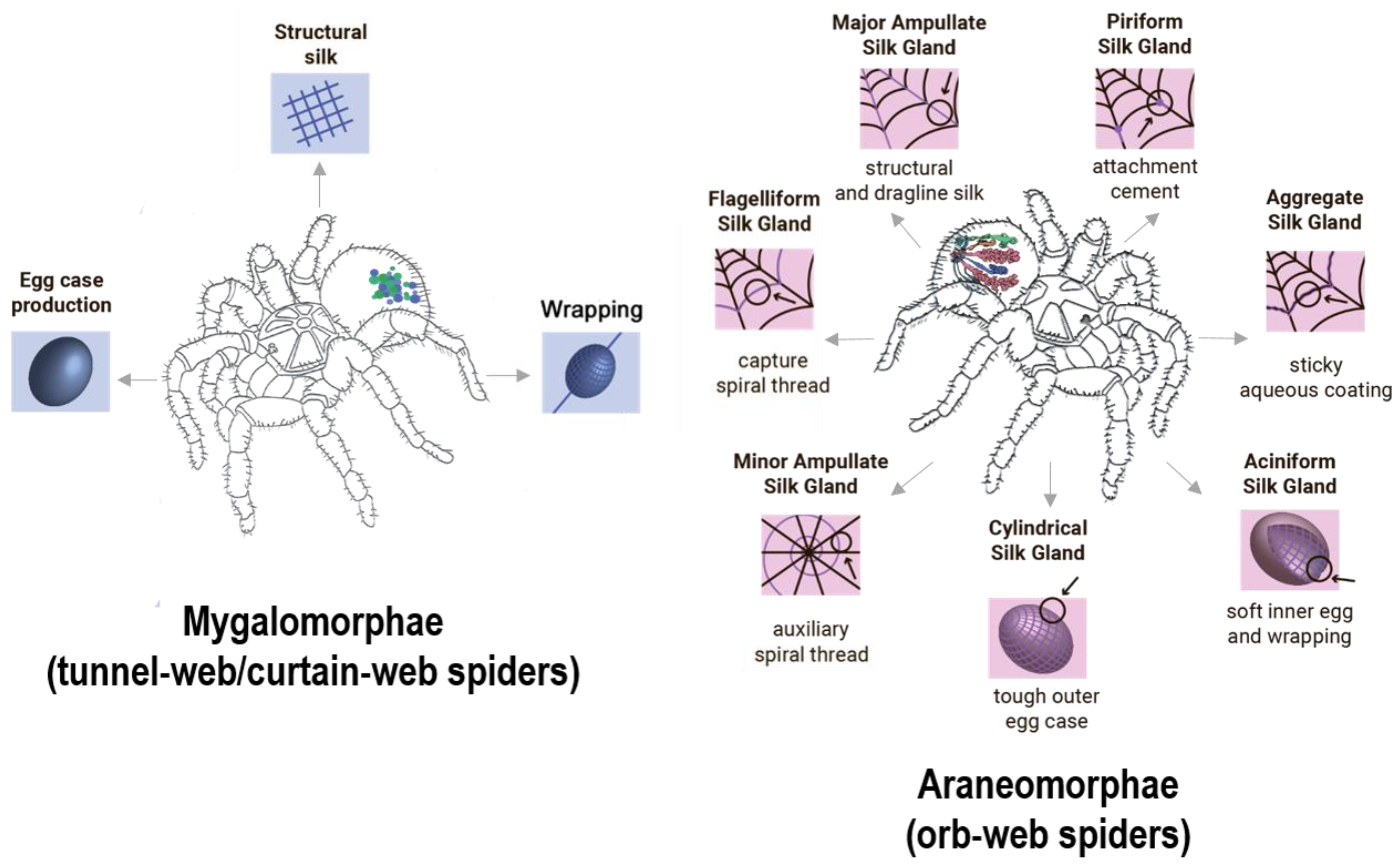 Nanomaterials 10 01853 g001 Nanomaterials 10 01853 g001