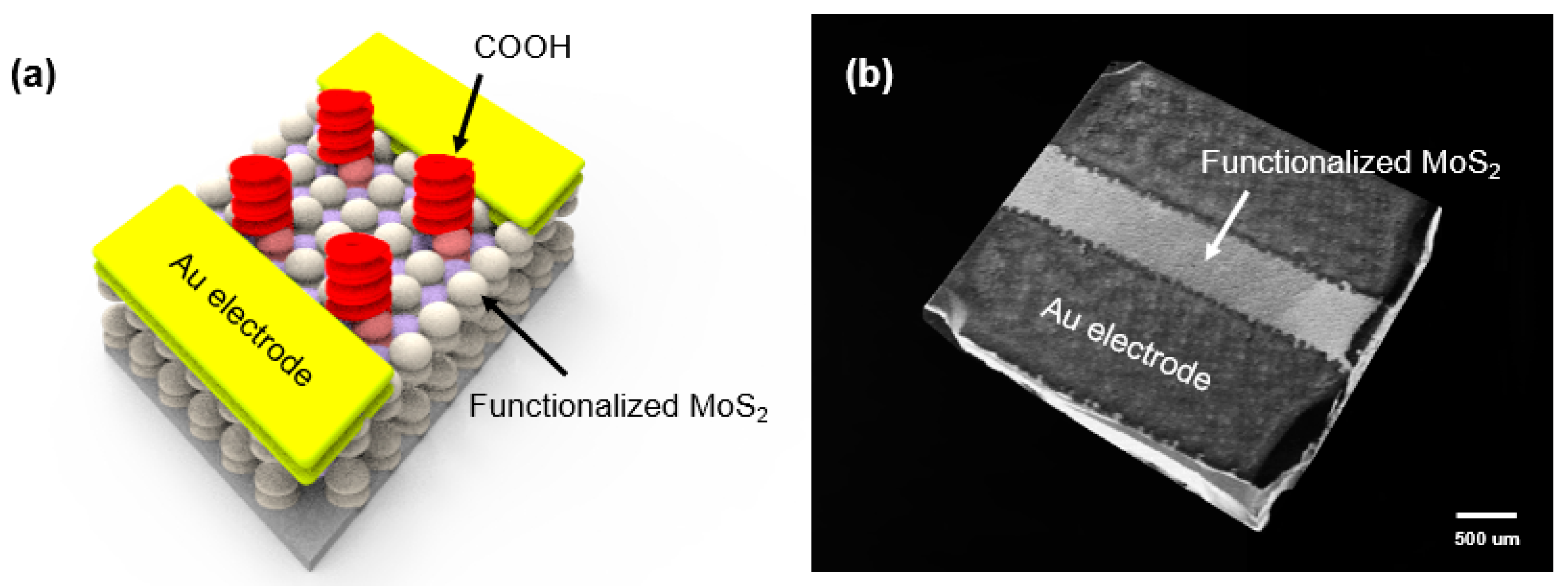 Nanomaterials 10 01860 g001 Nanomaterials 10 01860 g001
