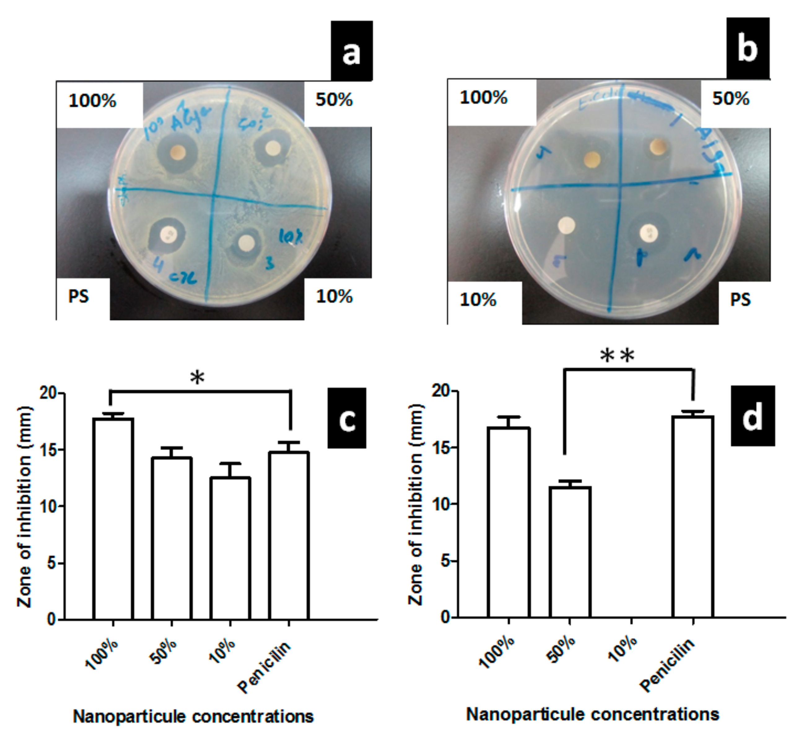 Nanomaterials 10 01861 g006 Nanomaterials 10 01861 g006