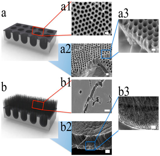 Nanomaterials 10 01862 g004 550