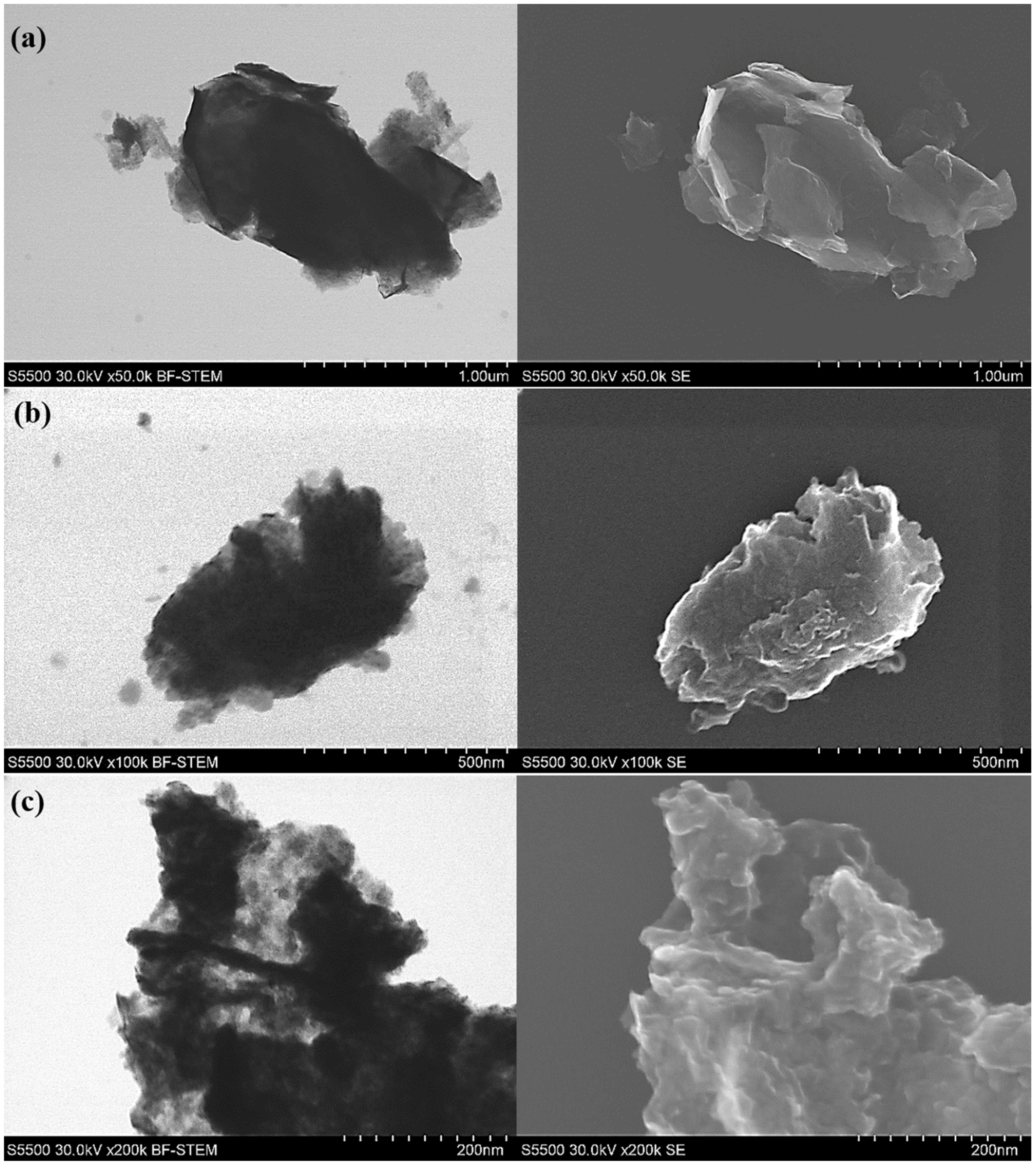 Nanomaterials 10 01865 g009 Nanomaterials 10 01865 g009