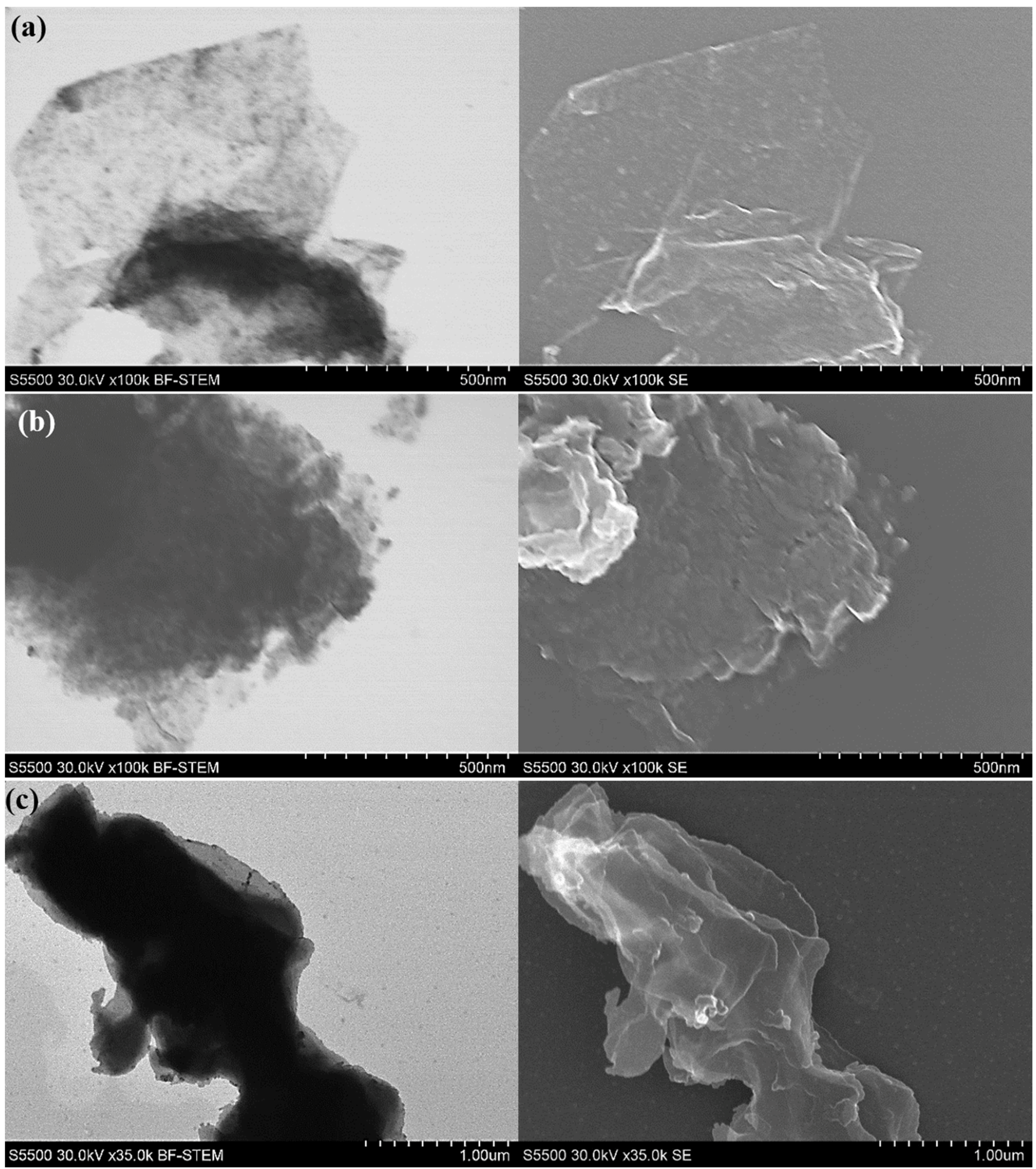 Nanomaterials 10 01865 g010 Nanomaterials 10 01865 g010