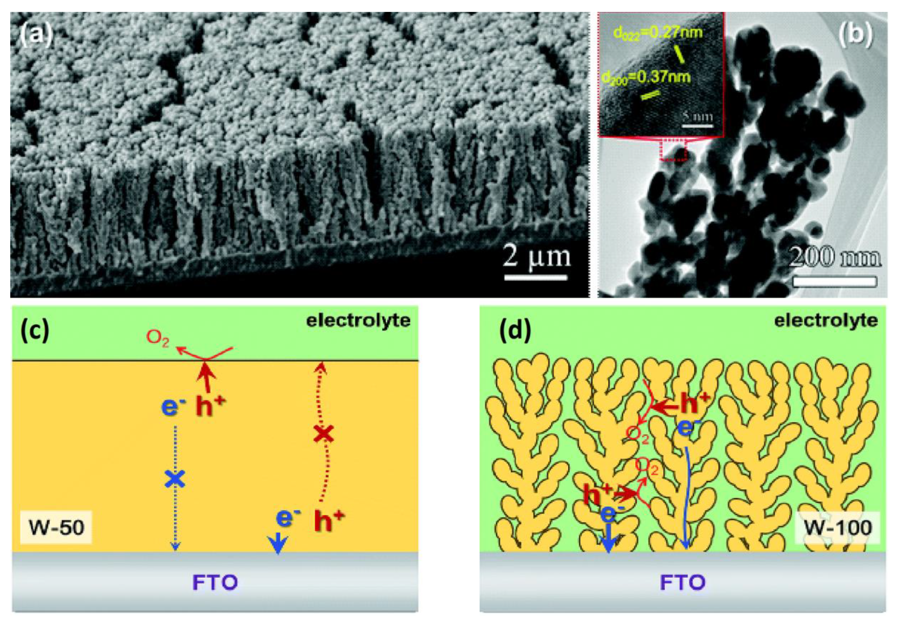 Nanomaterials 10 01871 g010 Nanomaterials 10 01871 g010