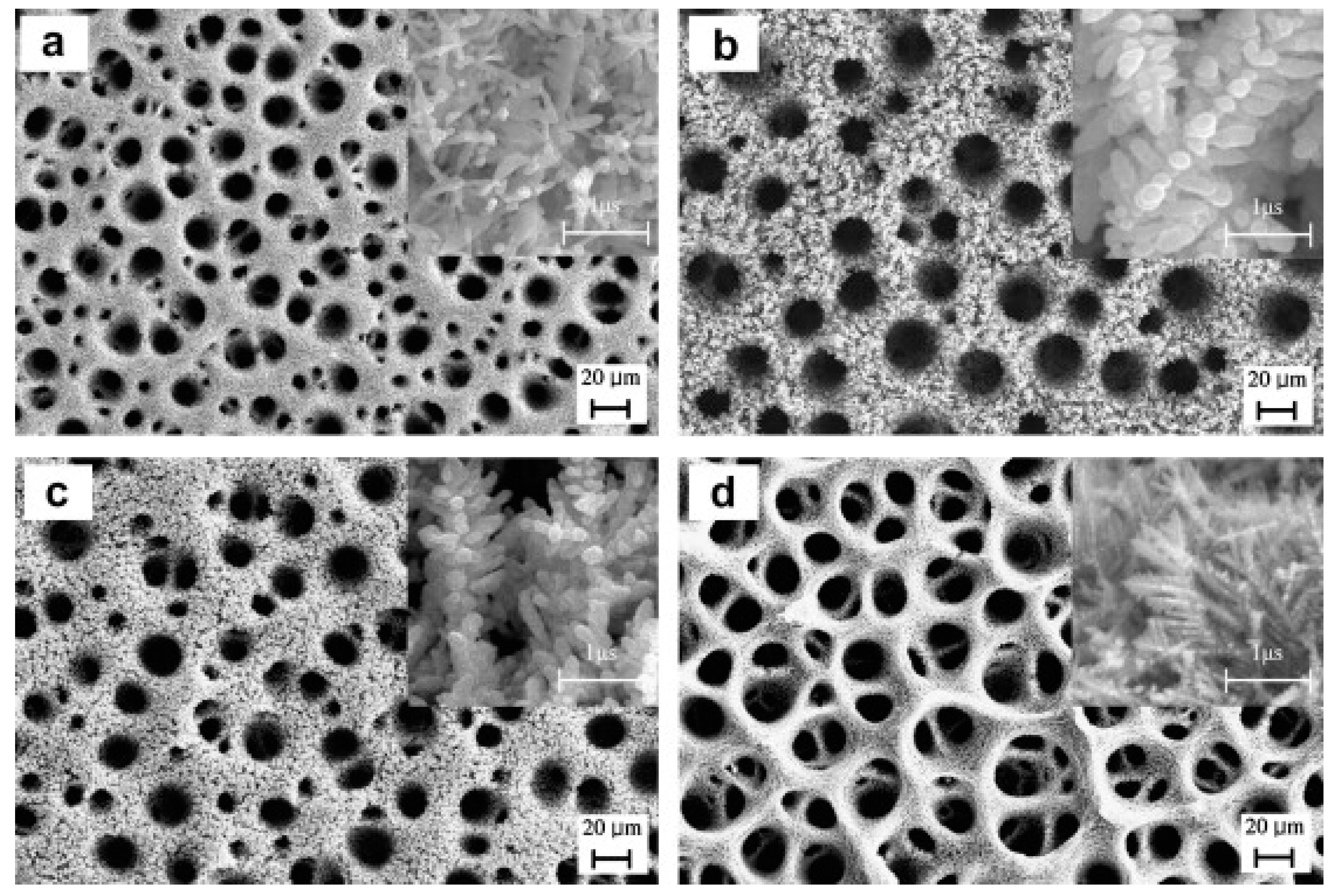 Nanomaterials 10 01884 g004 Nanomaterials 10 01884 g004