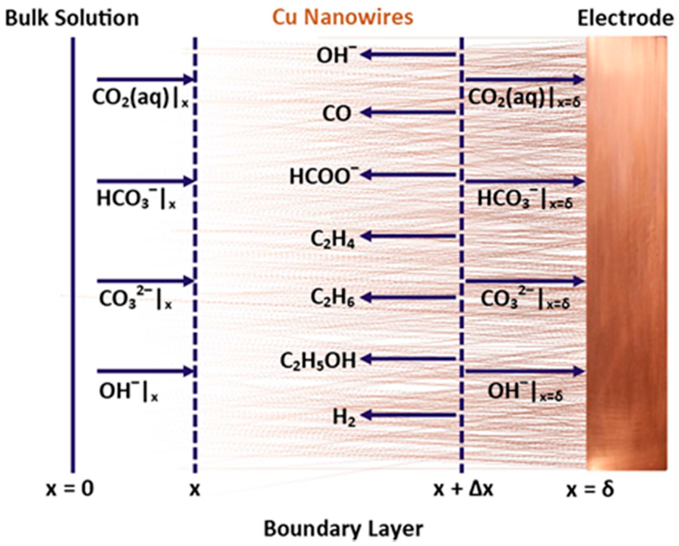 Nanomaterials 10 01884 g017 Nanomaterials 10 01884 g017