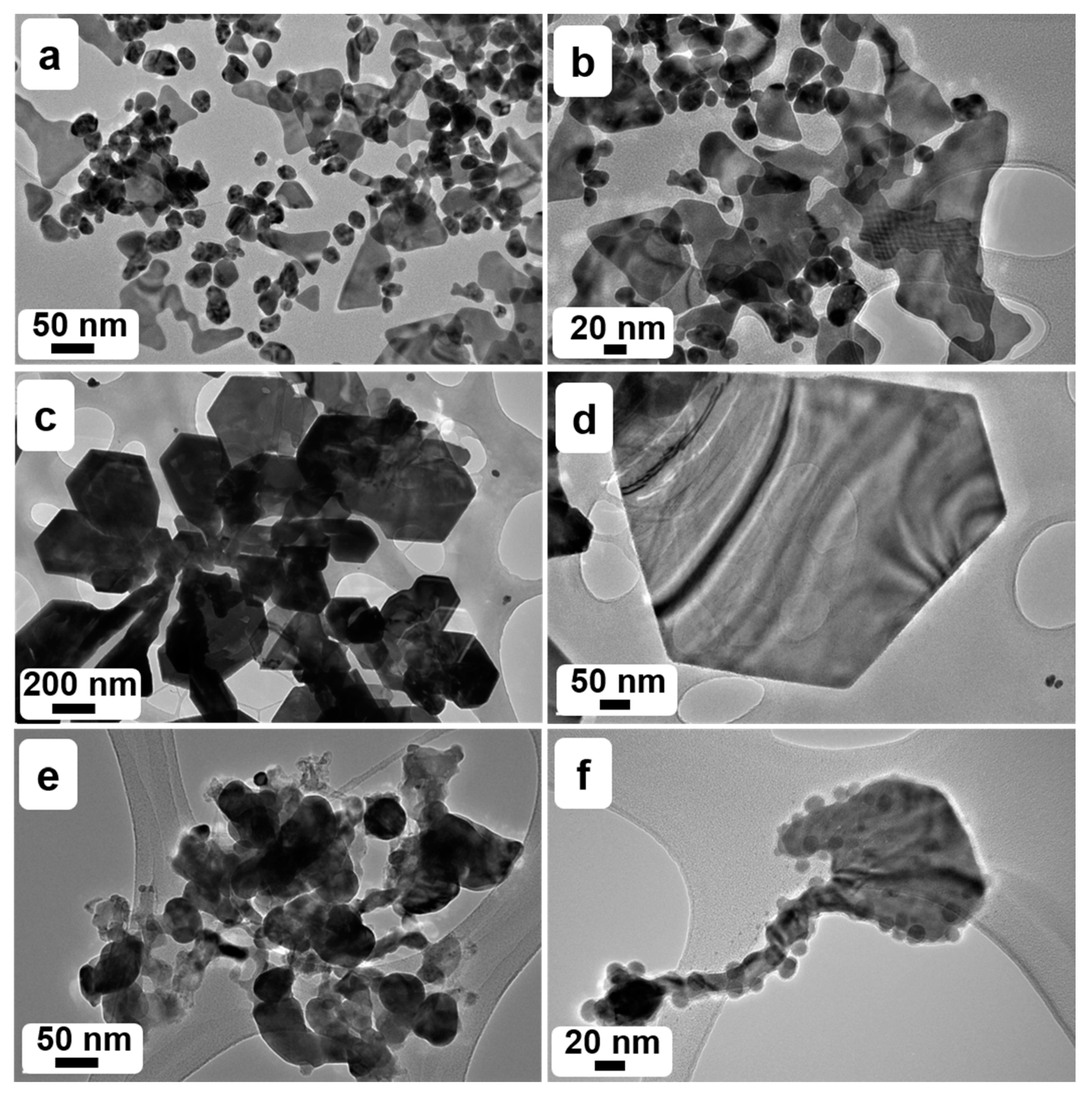 Nanomaterials 10 01885 g004 Nanomaterials 10 01885 g004