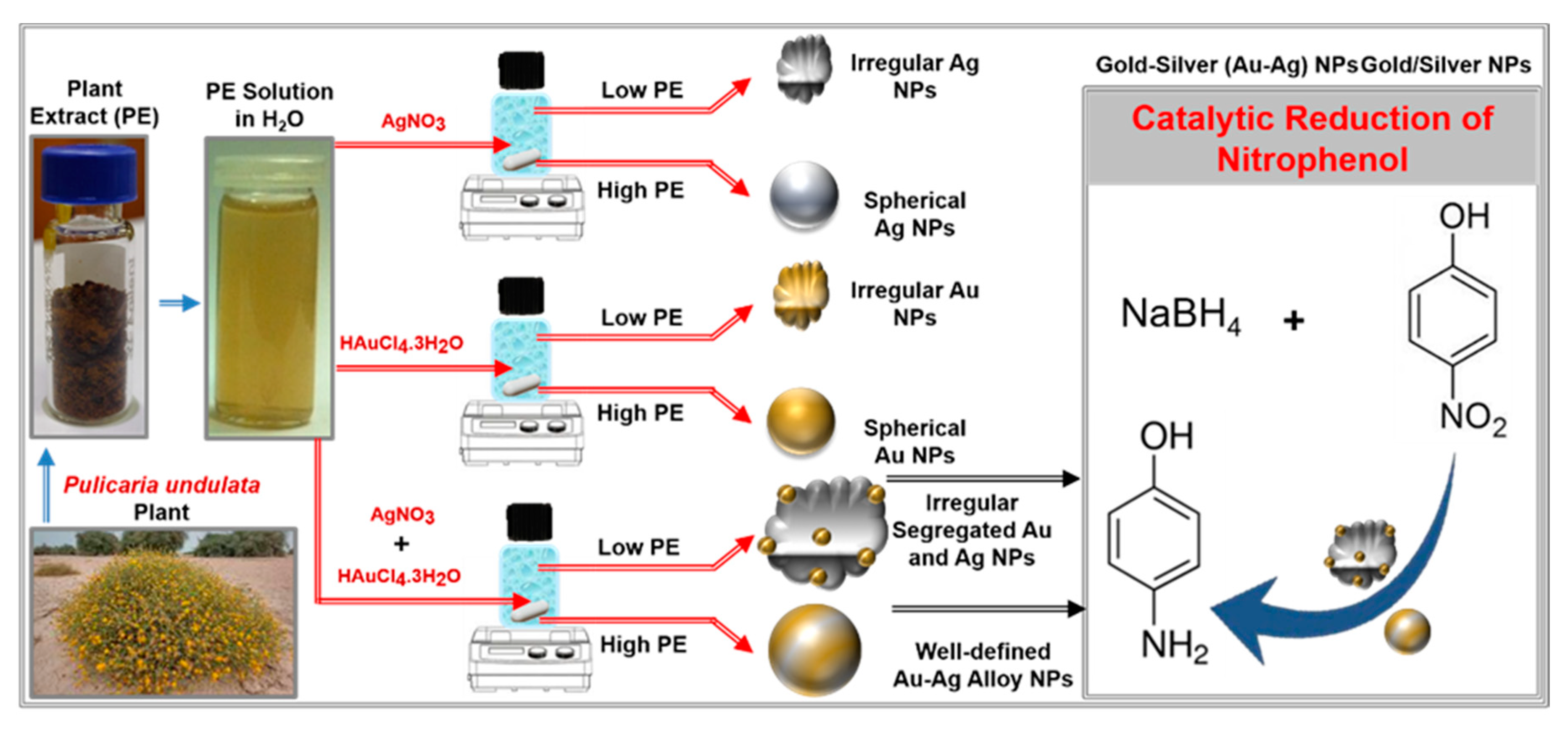 Nanomaterials 10 01885 sch001 Nanomaterials 10 01885 sch001