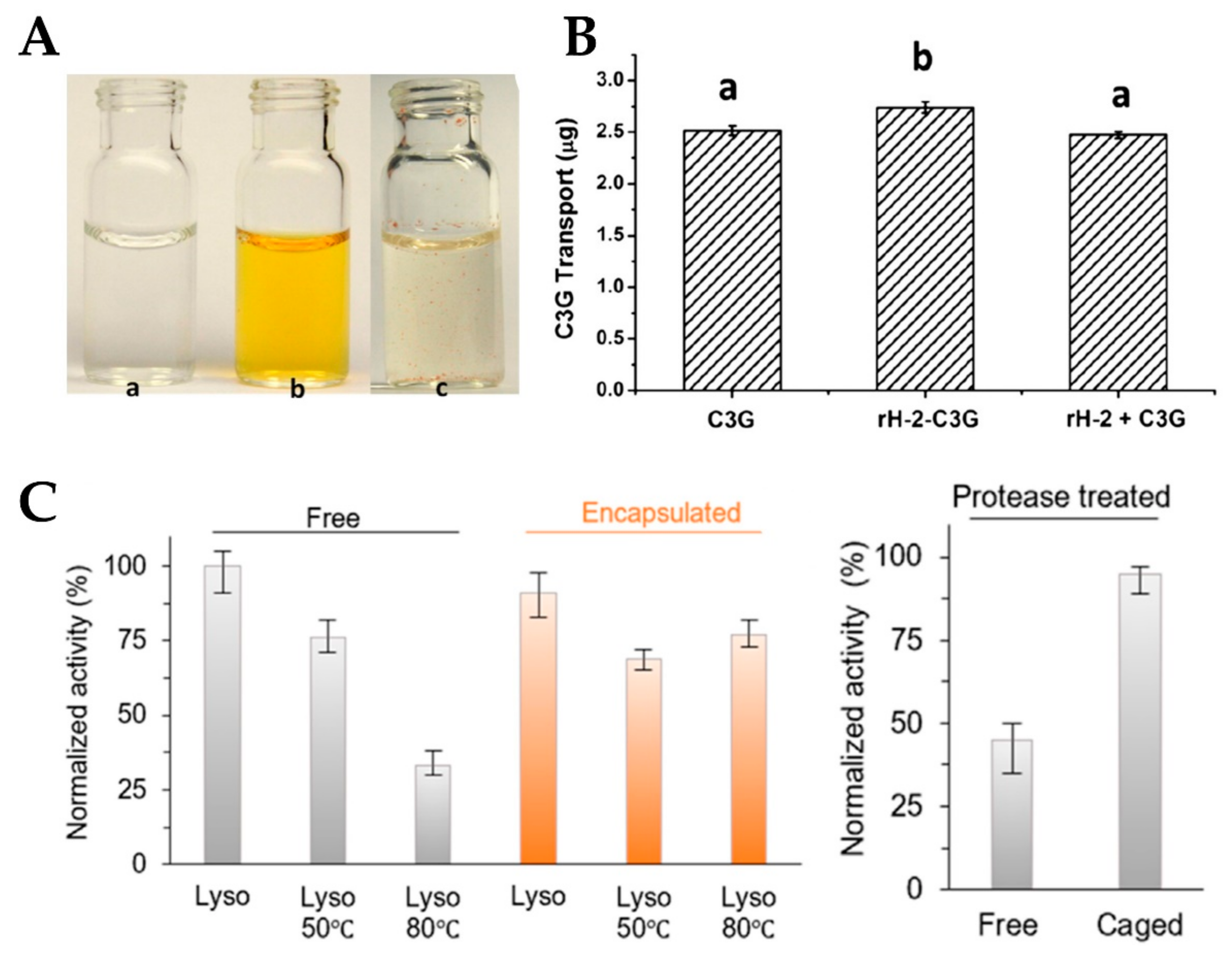 Nanomaterials 10 01894 g005 Nanomaterials 10 01894 g005
