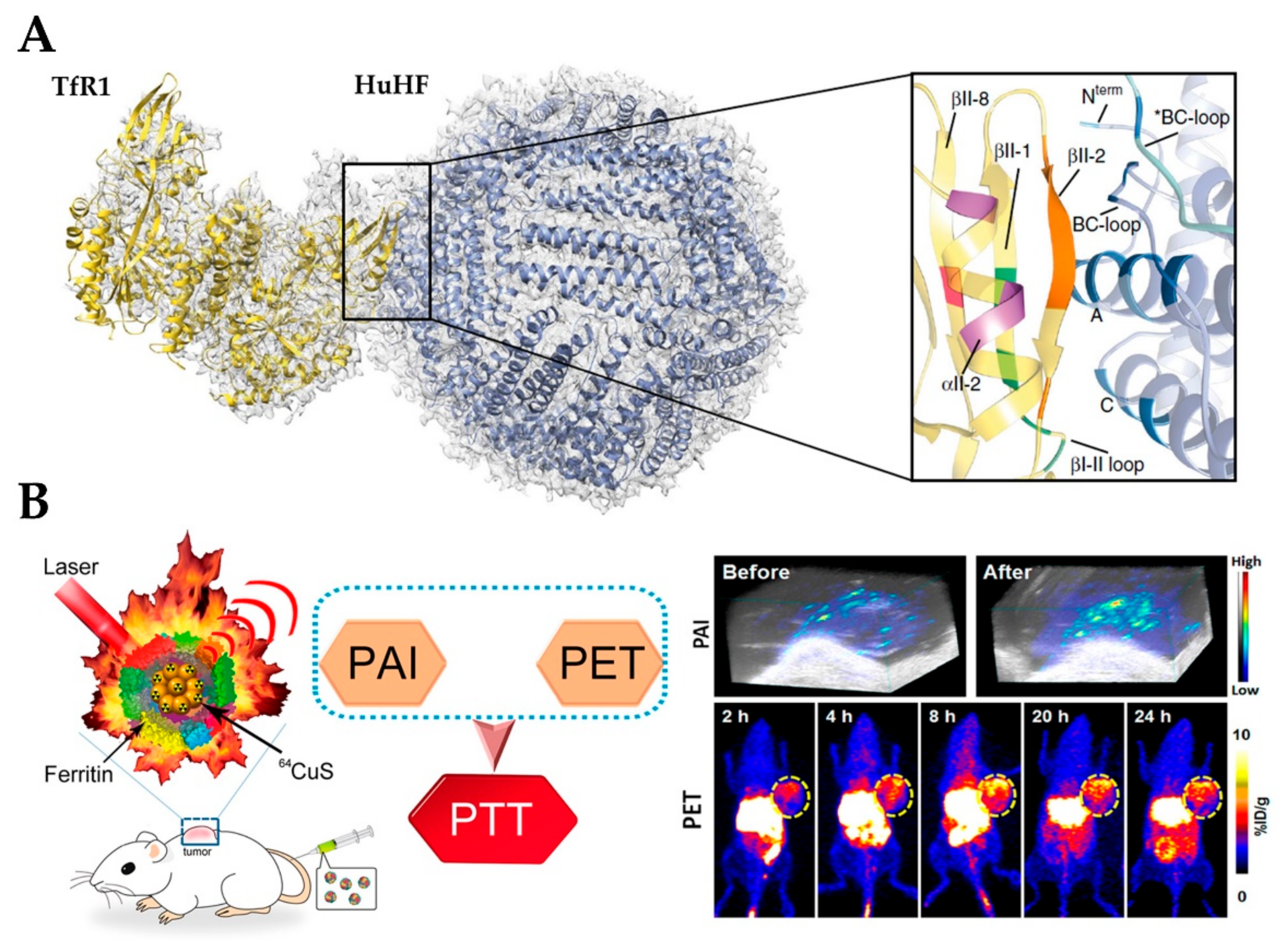 Nanomaterials 10 01894 g006 Nanomaterials 10 01894 g006