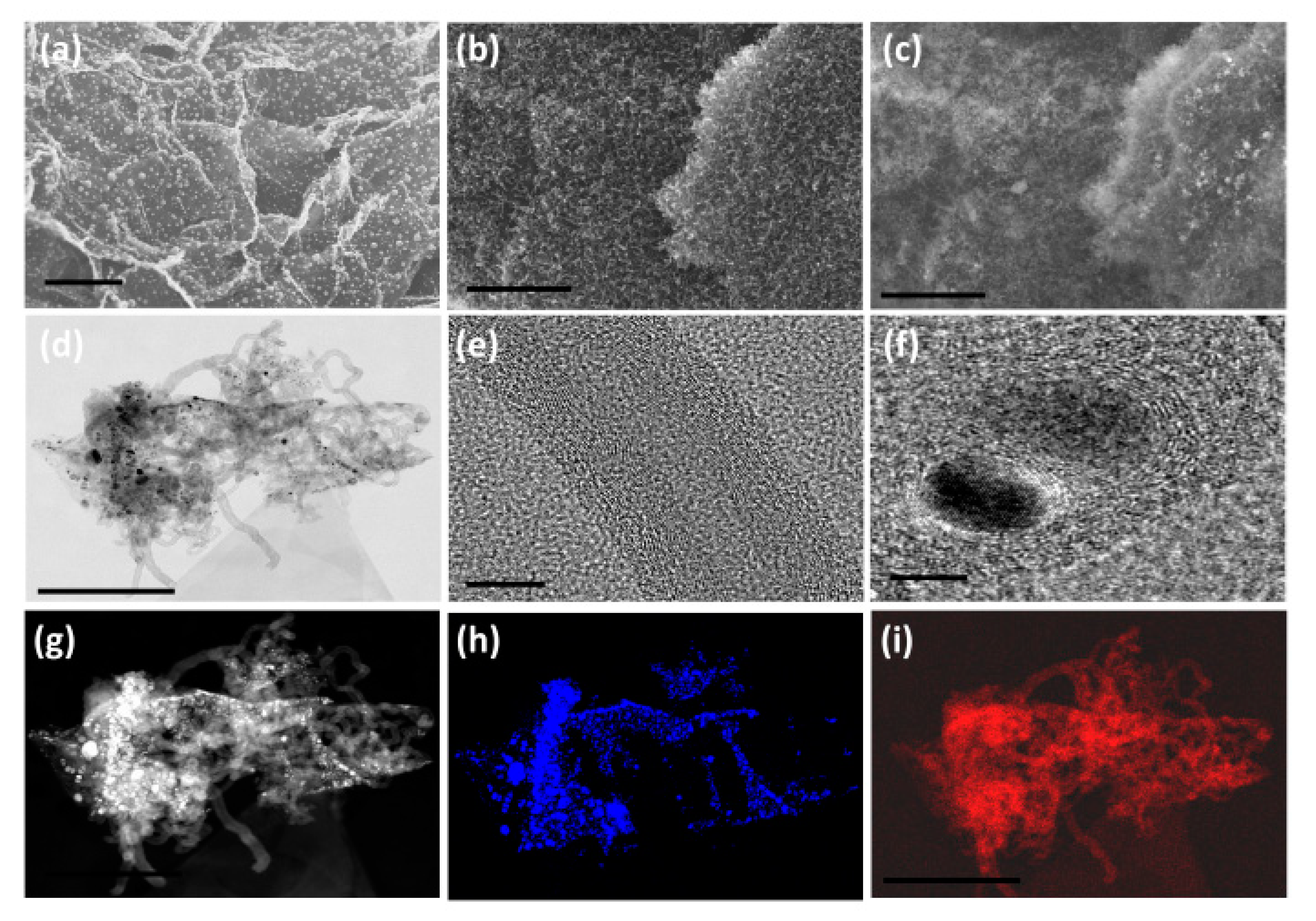 Nanomaterials 10 01895 g001 Nanomaterials 10 01895 g001