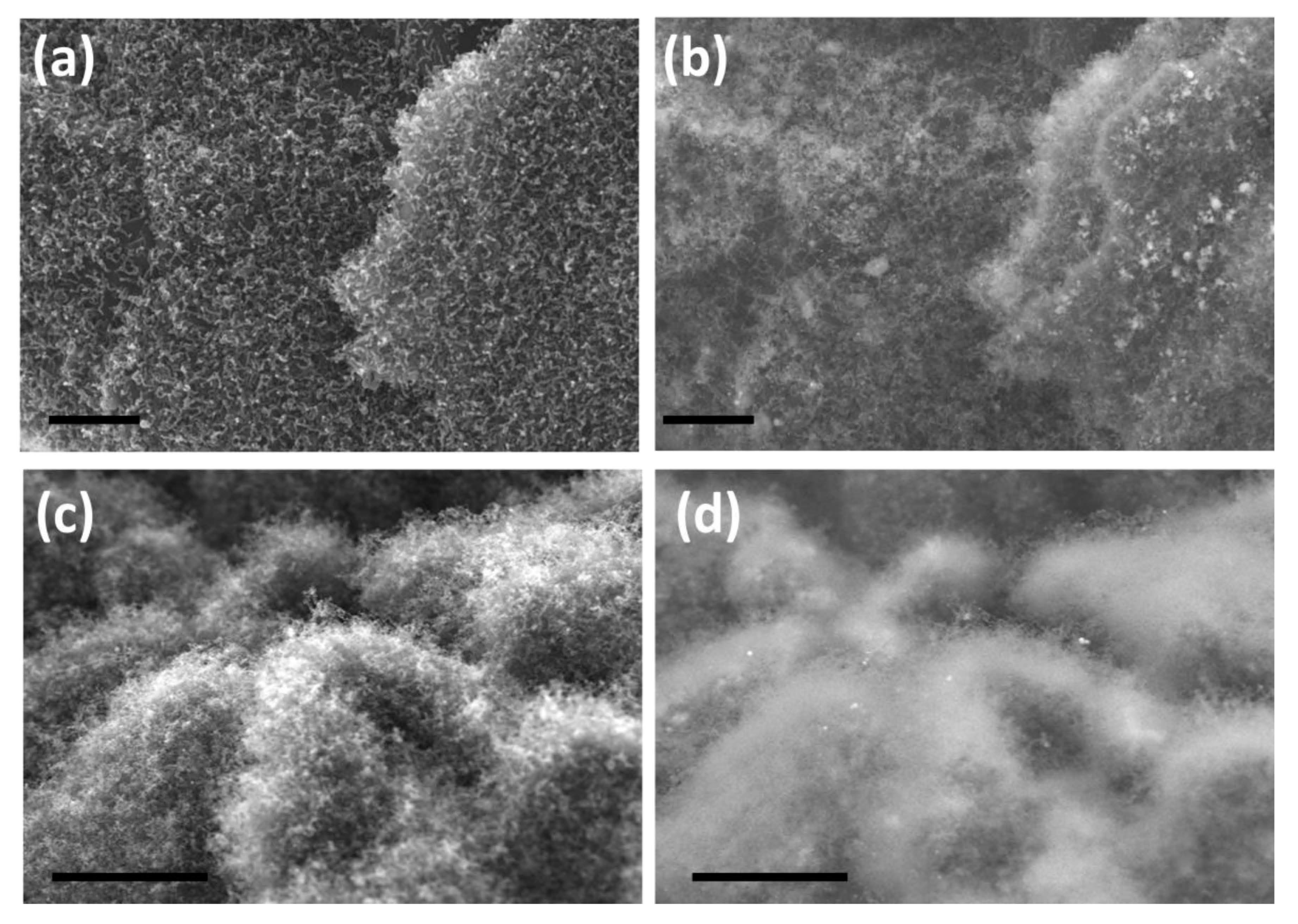 Nanomaterials 10 01895 g004 Nanomaterials 10 01895 g004