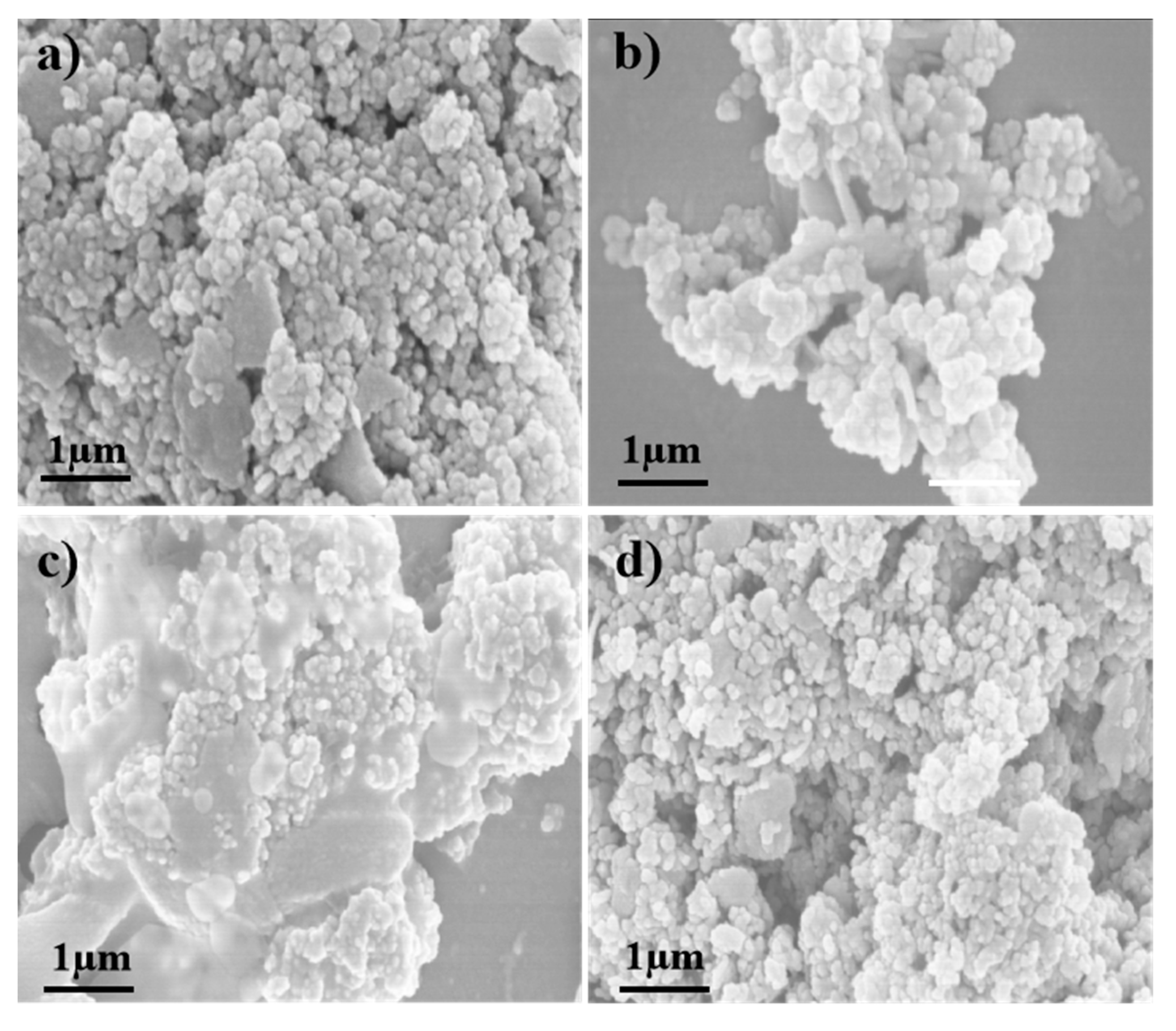 Nanomaterials 10 01900 g005