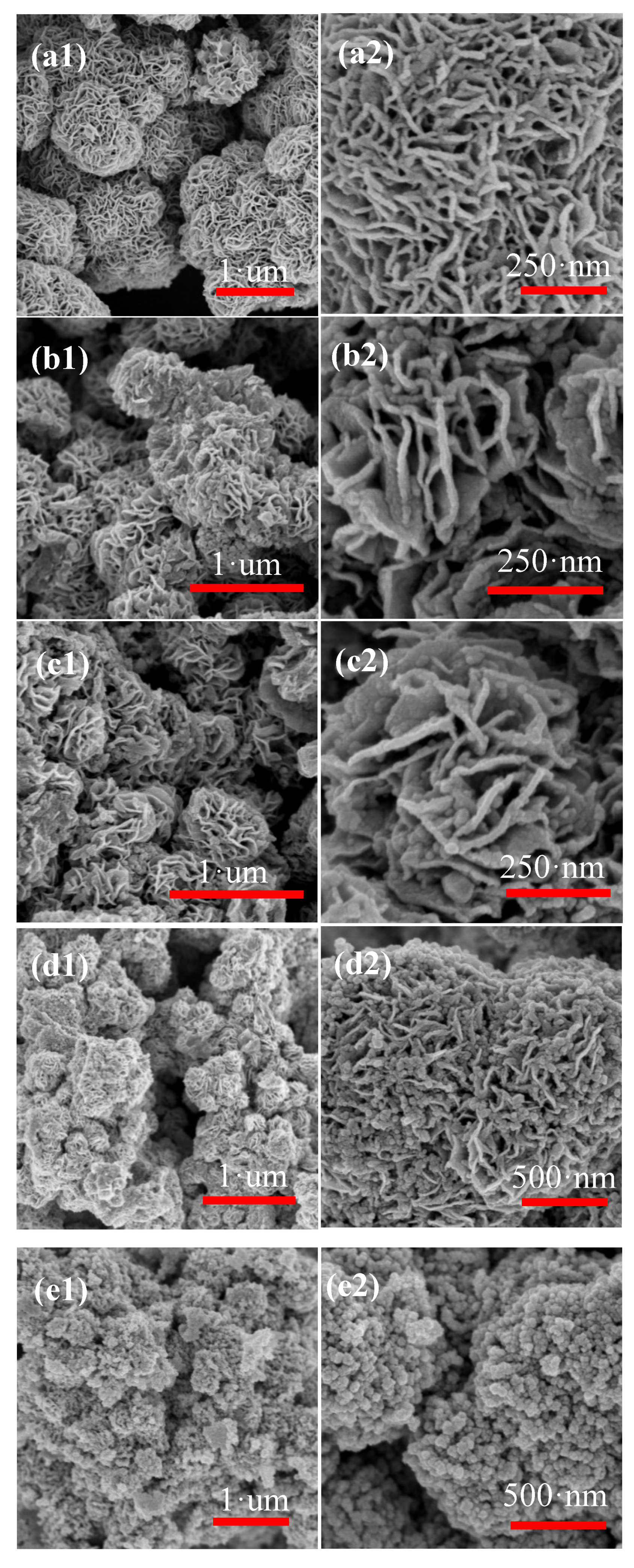 Nanomaterials 10 01902 g005