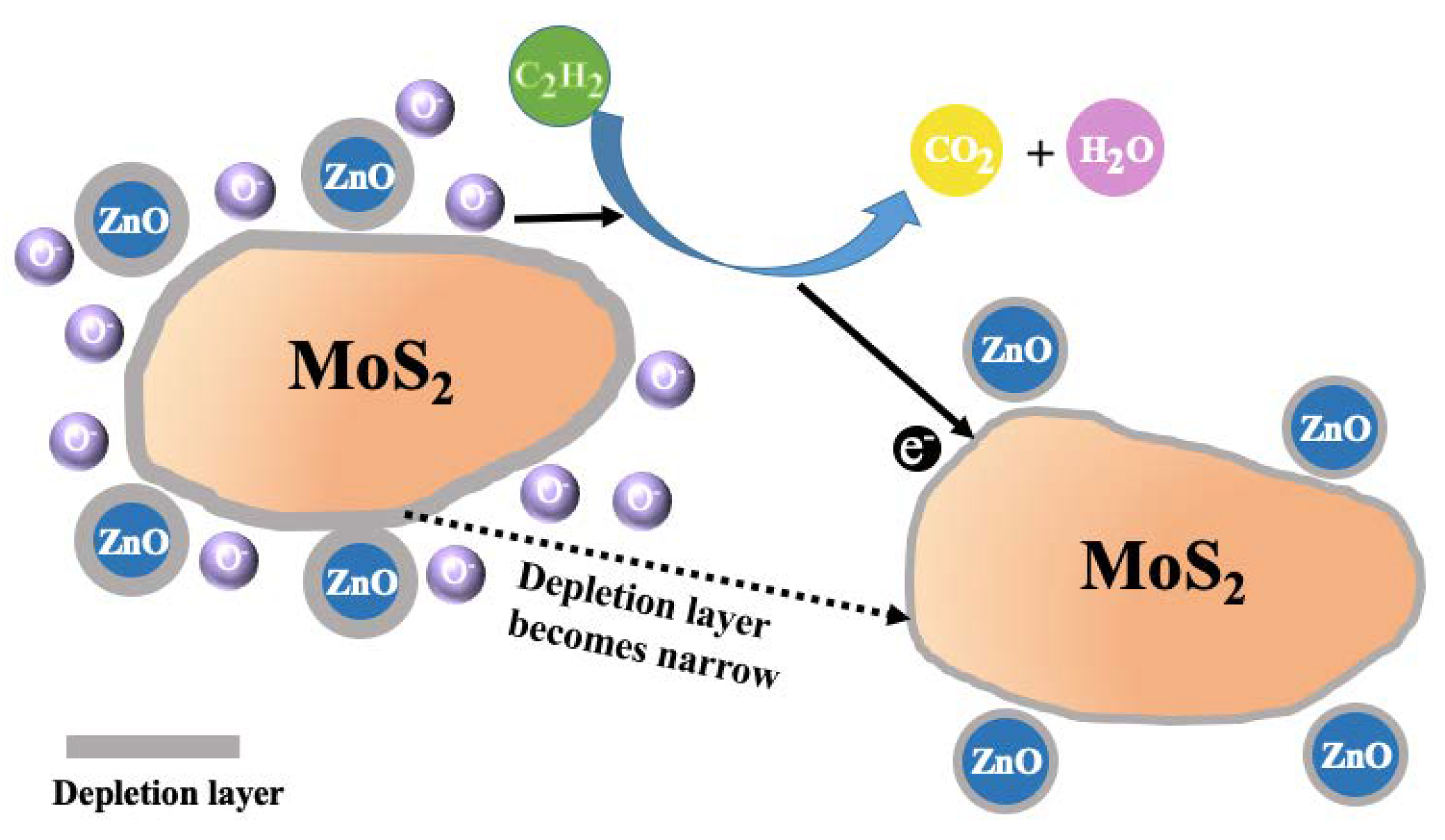 Nanomaterials 10 01902 g015