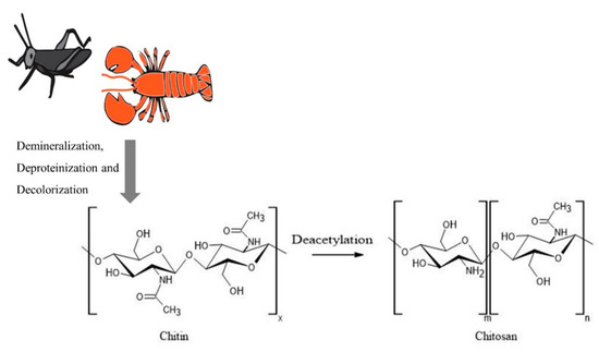 Nanomaterials 10 01903 g001 550