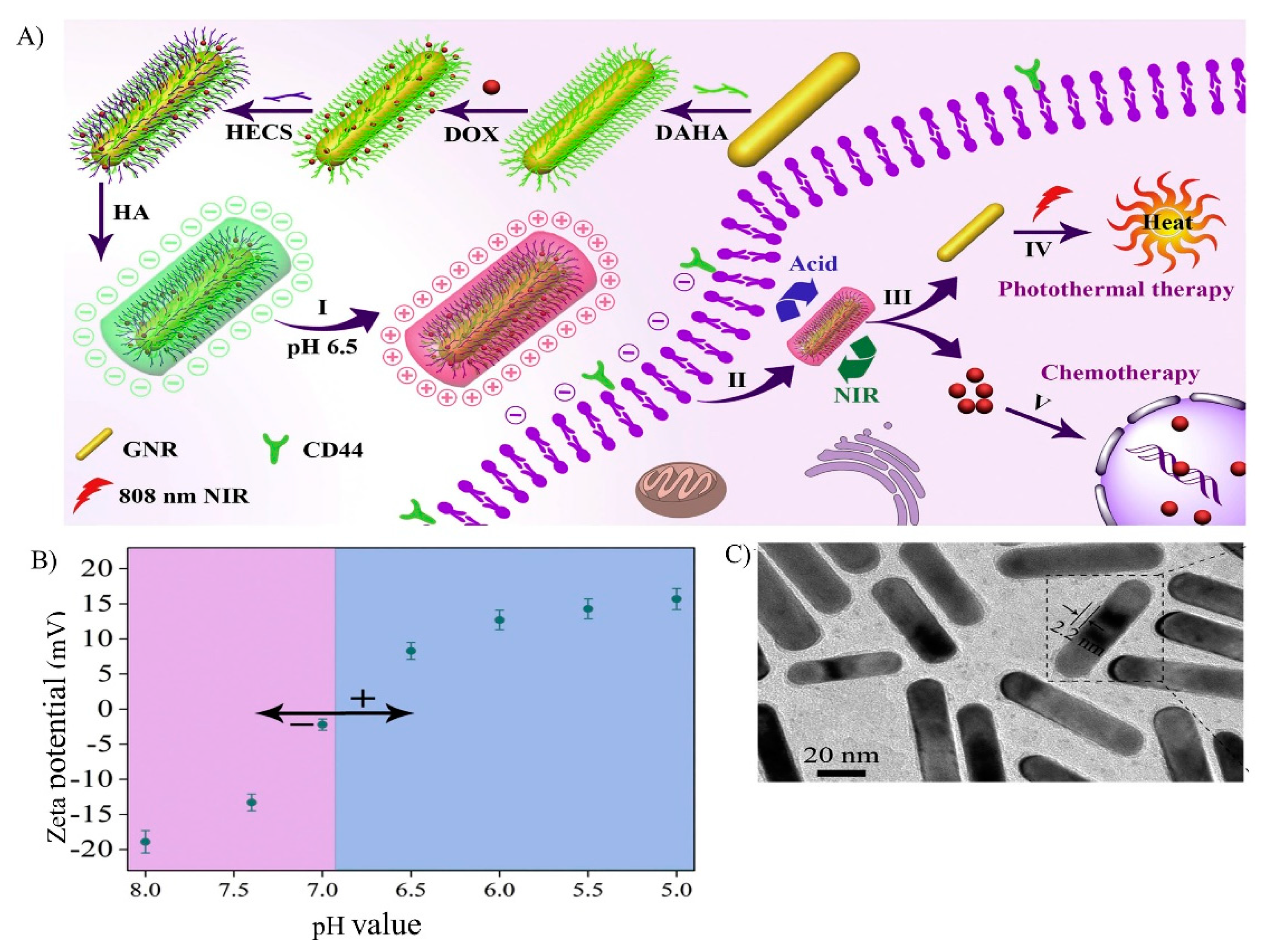 Nanomaterials 10 01903 g006