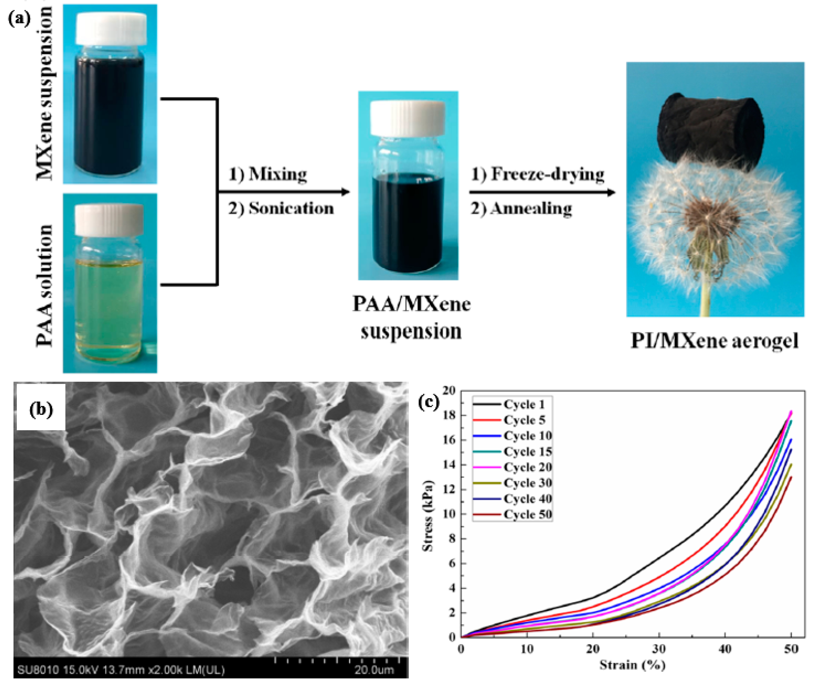 Nanomaterials 10 01916 g010