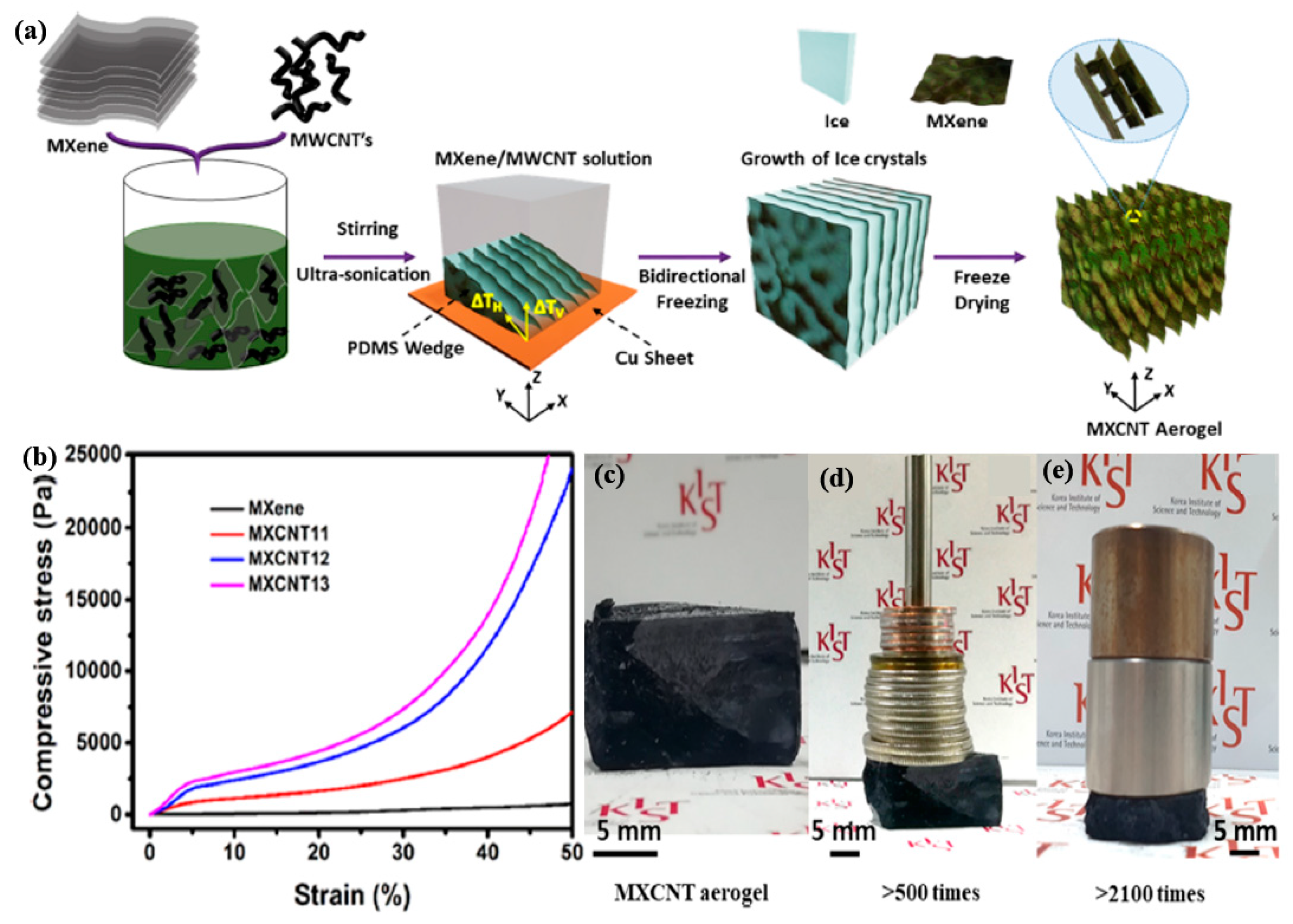 Nanomaterials 10 01916 g011