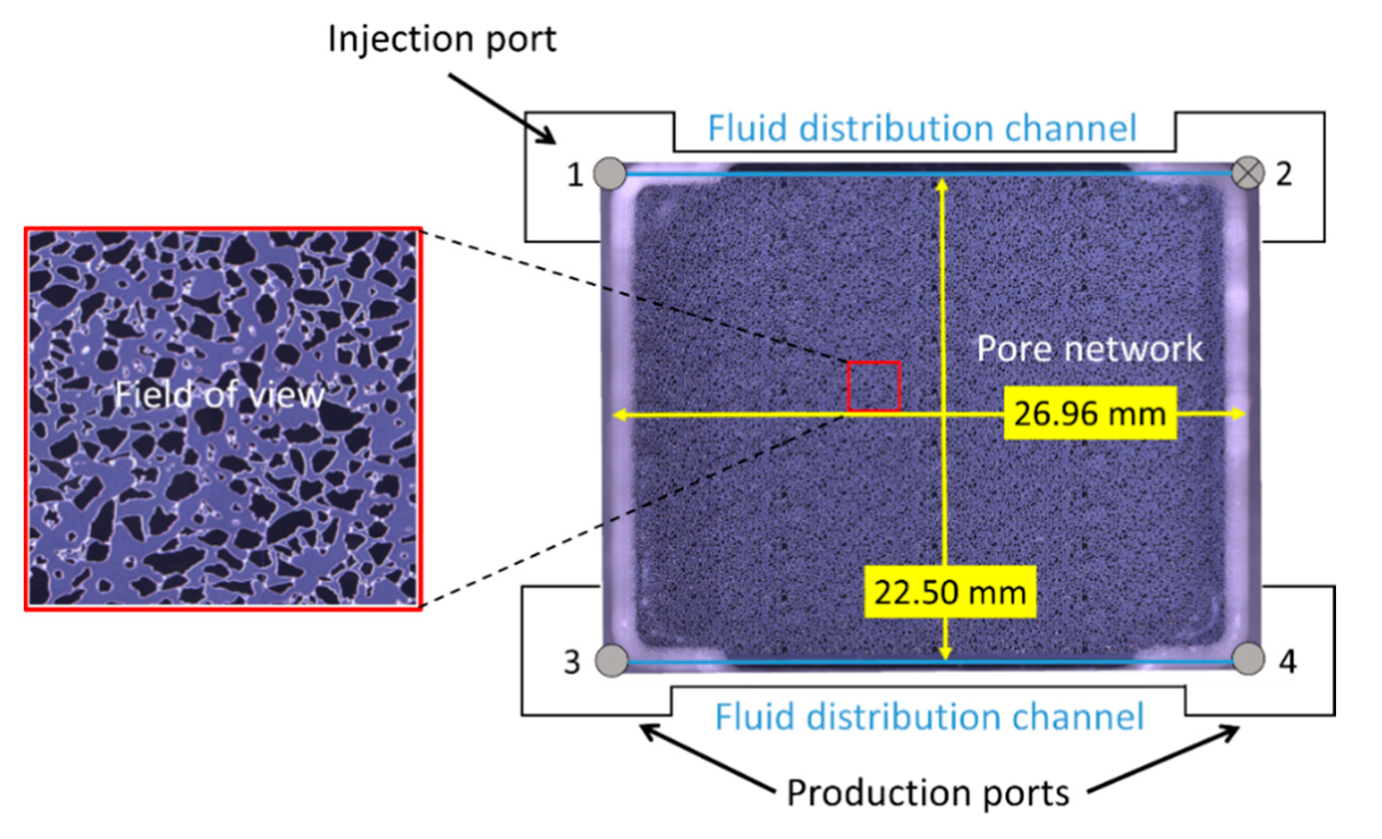 Nanomaterials 10 01917 g001