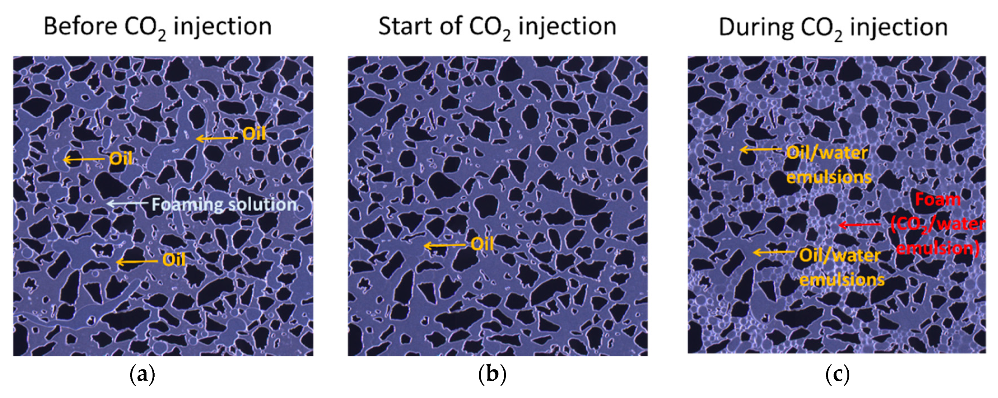 Nanomaterials 10 01917 g006