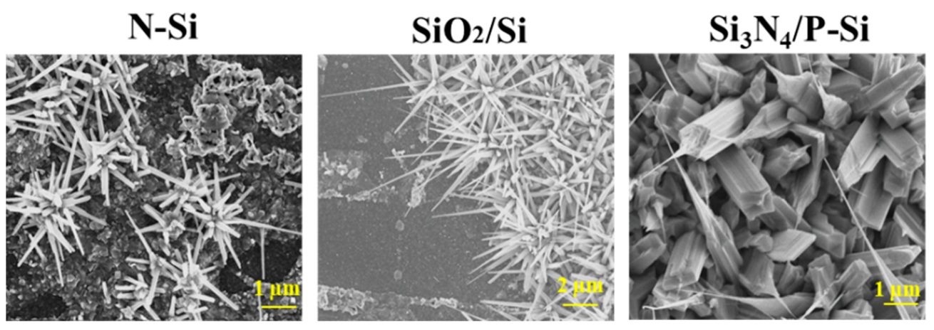 Nanomaterials 10 01920 g003