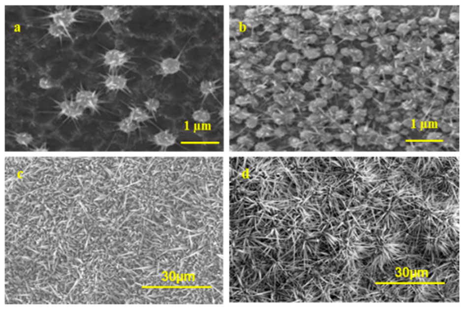 Nanomaterials 10 01920 g004