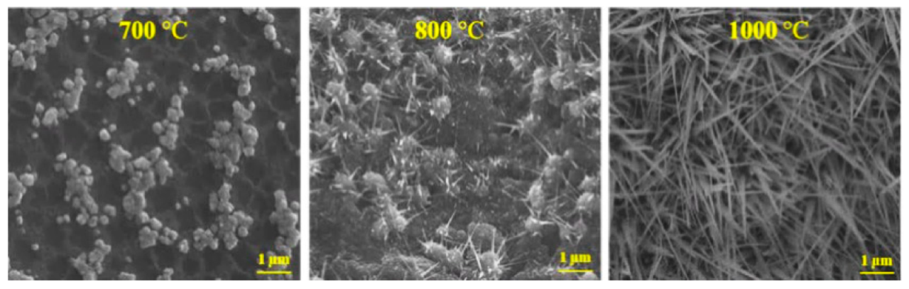 Nanomaterials 10 01920 g005