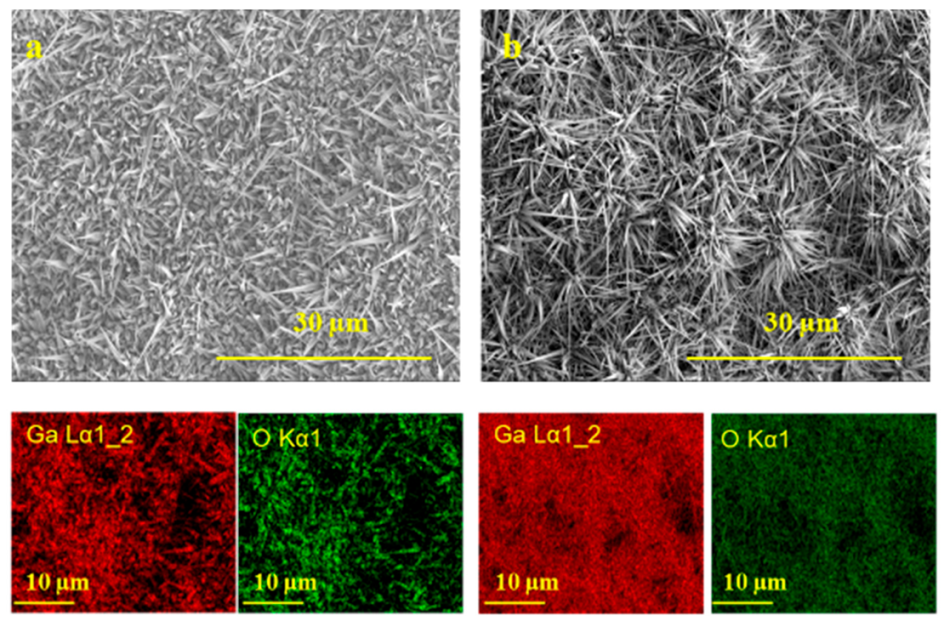 Nanomaterials 10 01920 g006