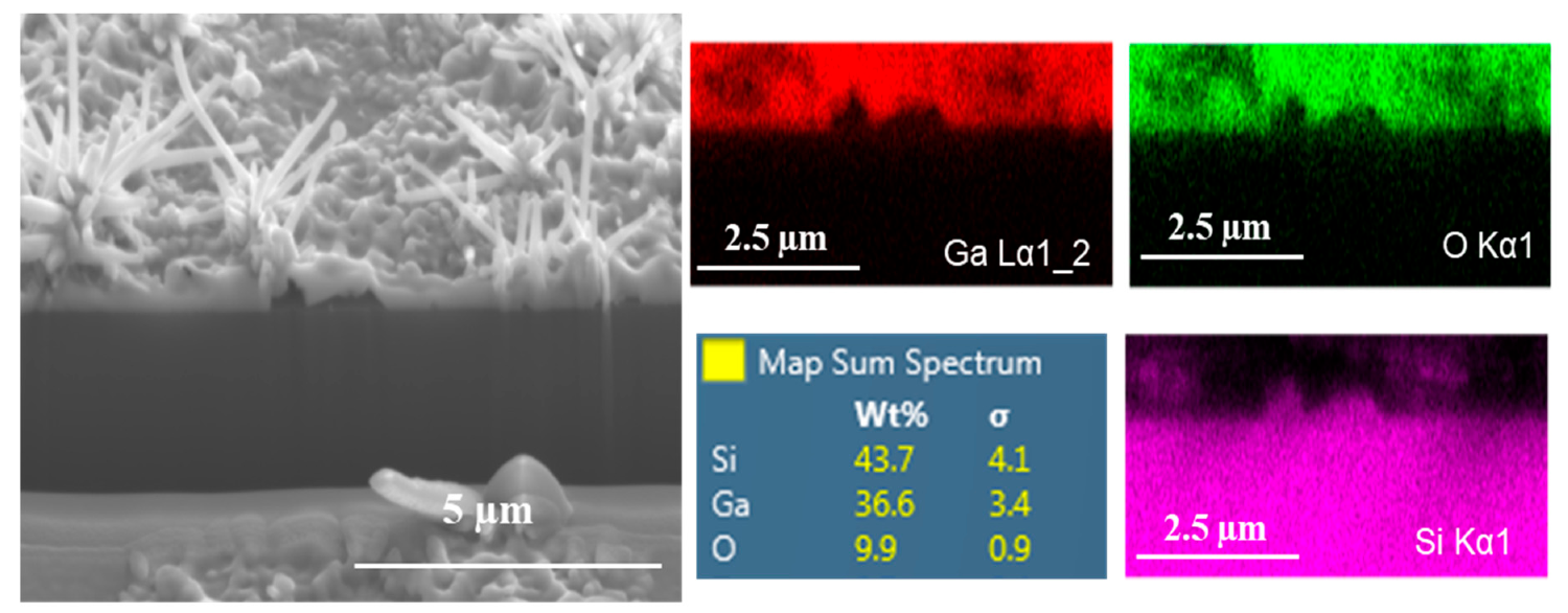 Nanomaterials 10 01920 g007