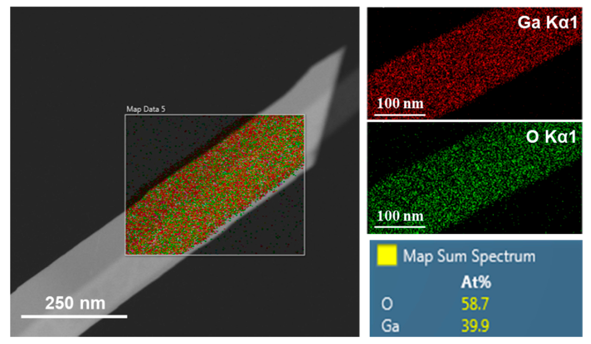 Nanomaterials 10 01920 g008