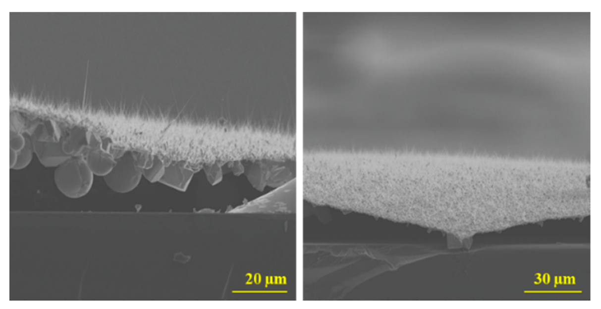 Nanomaterials 10 01920 g009