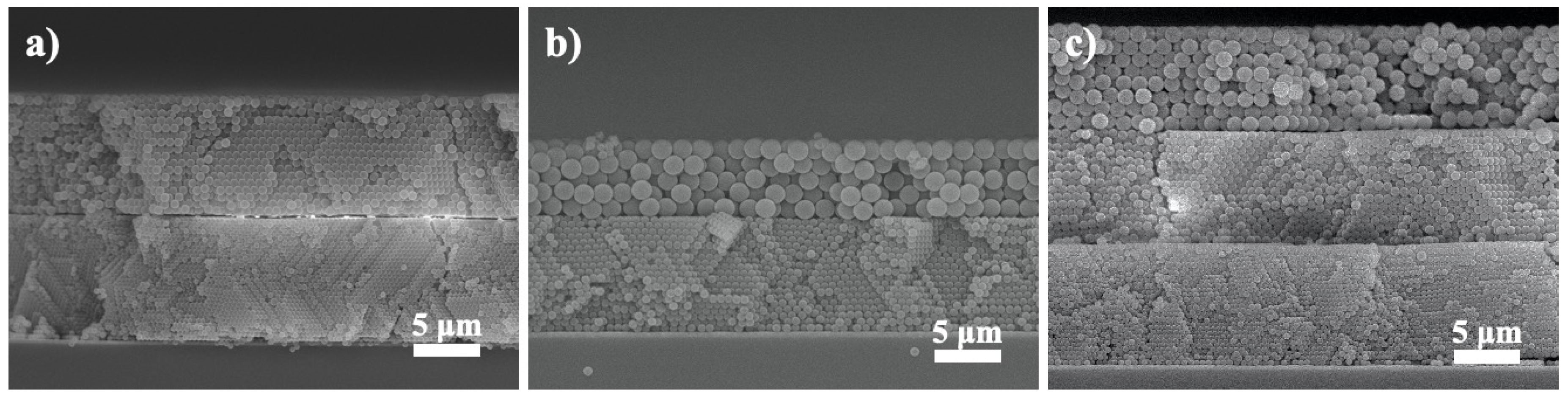 Nanomaterials 10 01923 g004 Nanomaterials 10 01923 g004