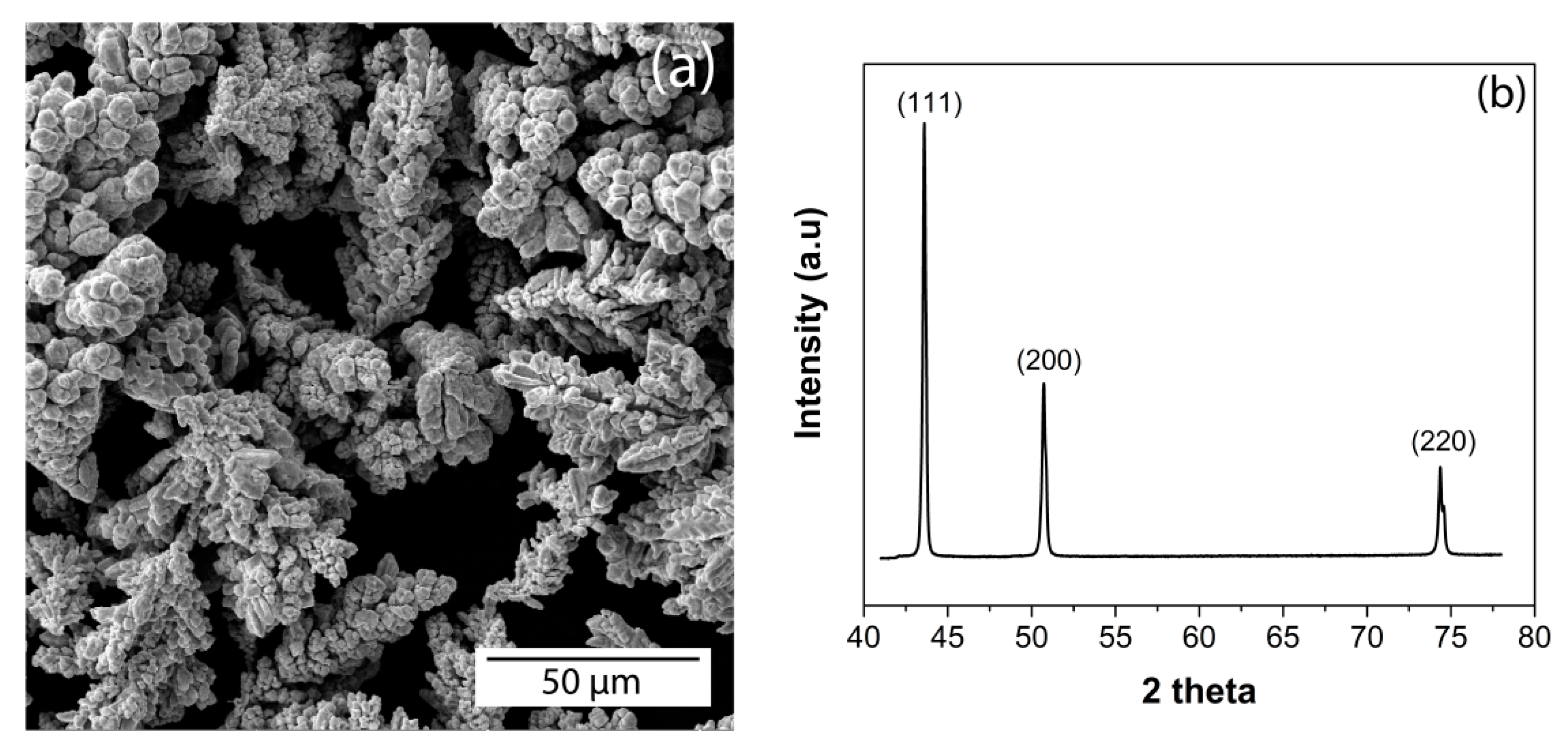 Nanomaterials 10 01929 g001 Nanomaterials 10 01929 g001