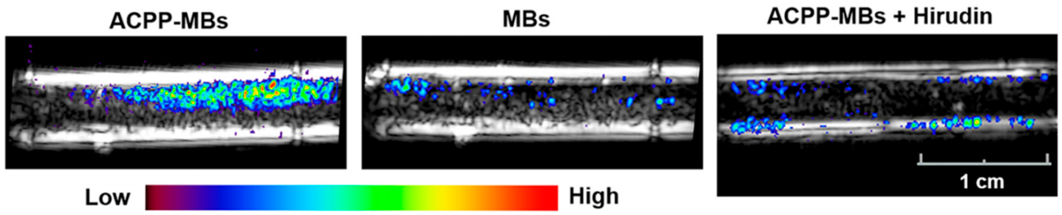 Nanomaterials 10 01935 g007