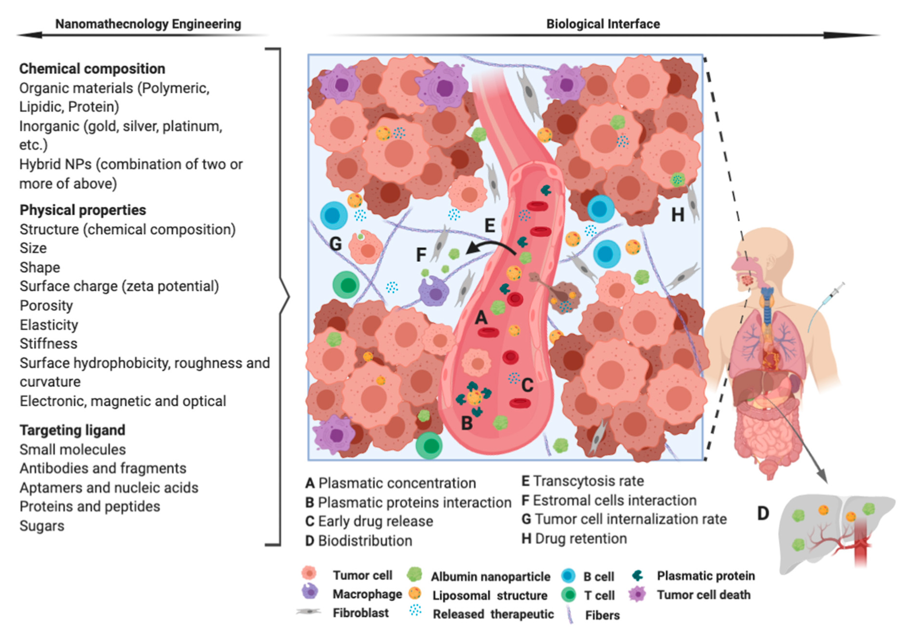 Nanomaterials 10 01938 g004 Nanomaterials 10 01938 g004