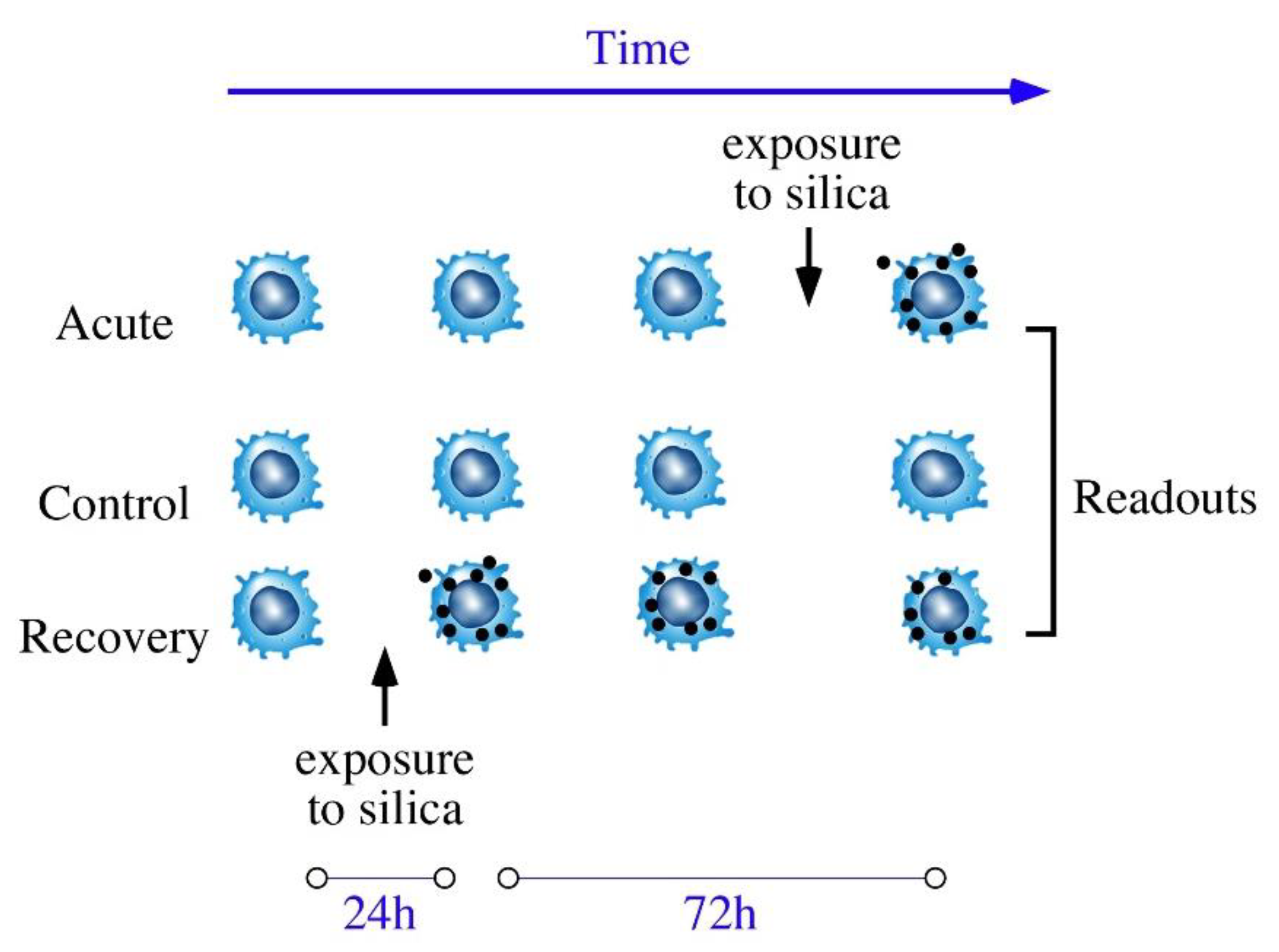 Nanomaterials 10 01939 g001