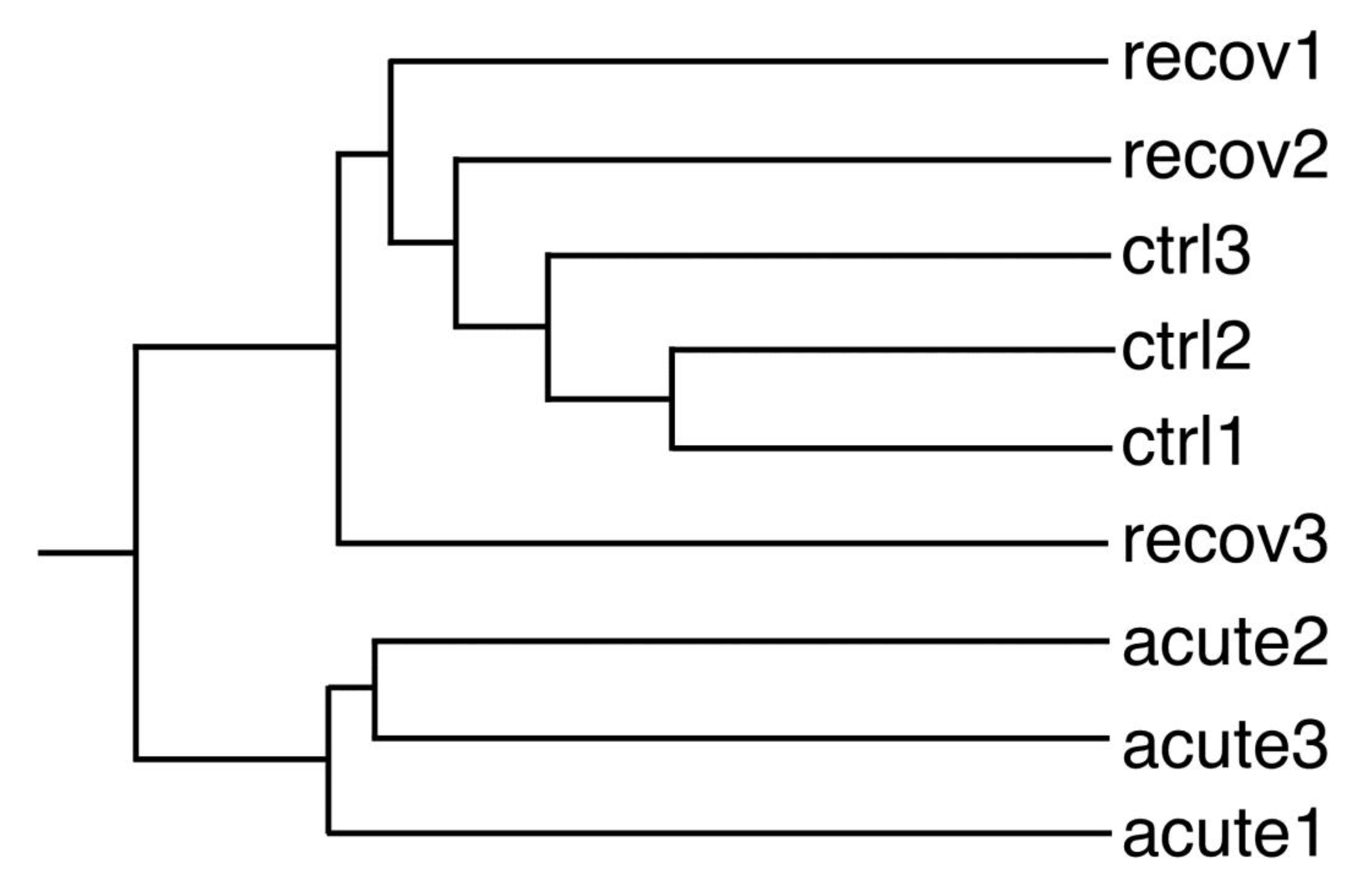 Nanomaterials 10 01939 g003
