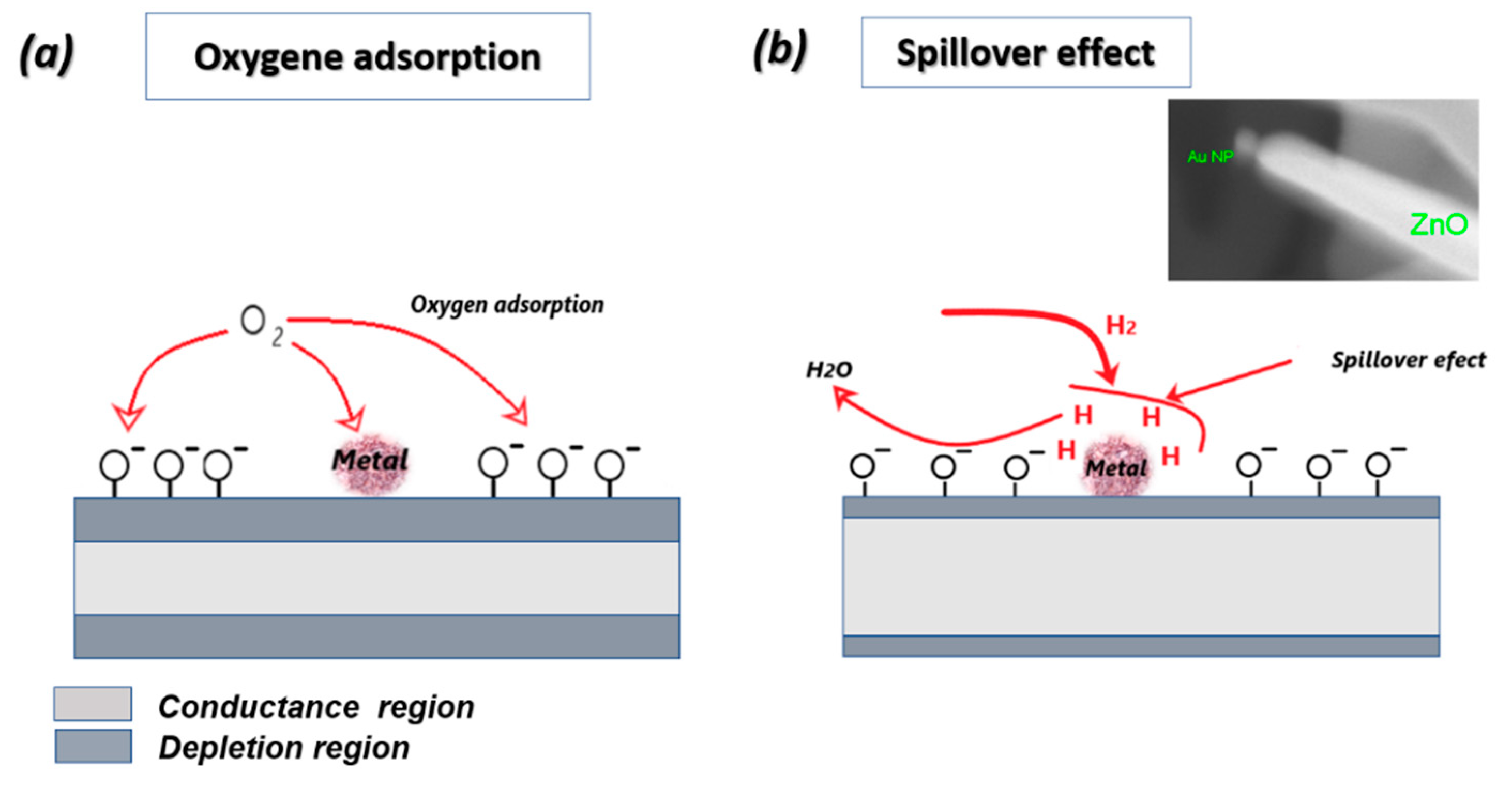 Nanomaterials 10 01940 g007